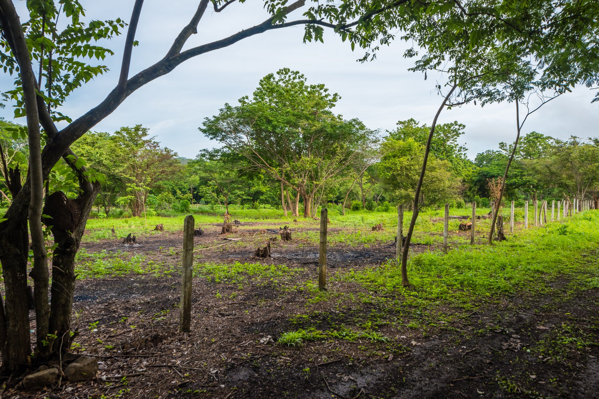 La Garita de Tamarindo Lot | 1.3-Acre Home Site Near Top Beaches, Private, Scenic, and Well-Located