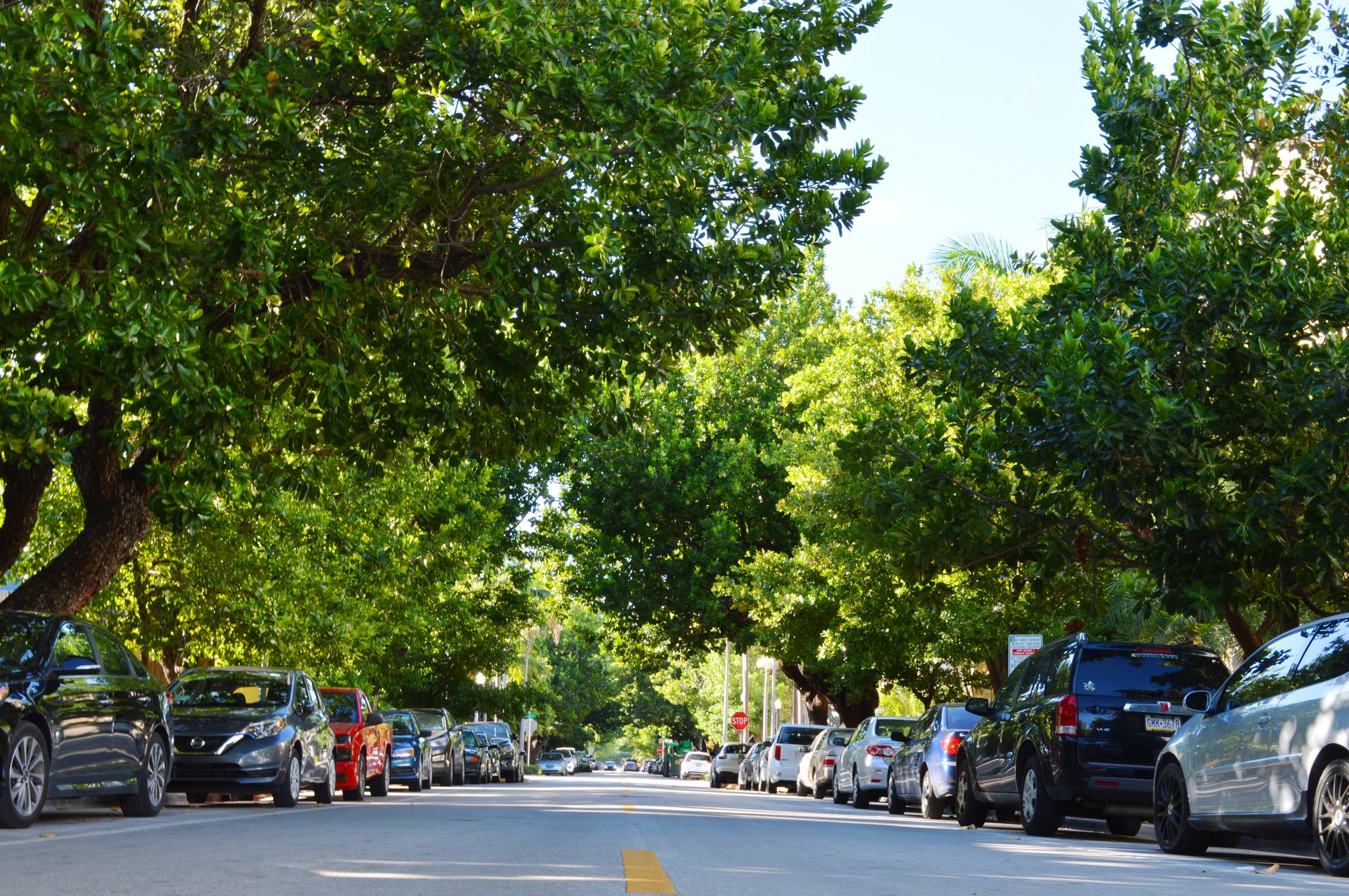 Best Places to Shop in South Beach Miami | 2026 Guide