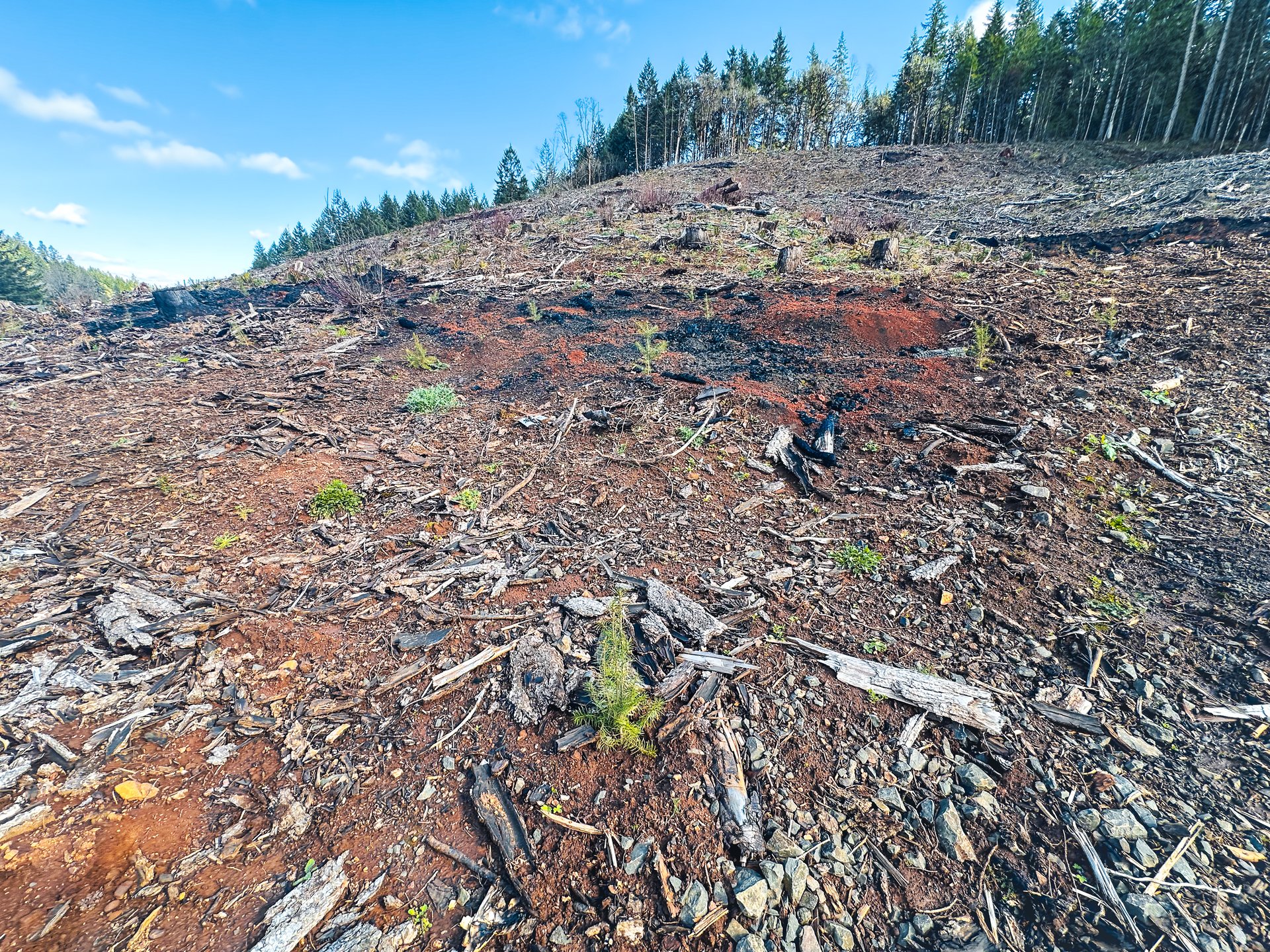 Sharewater Homesite