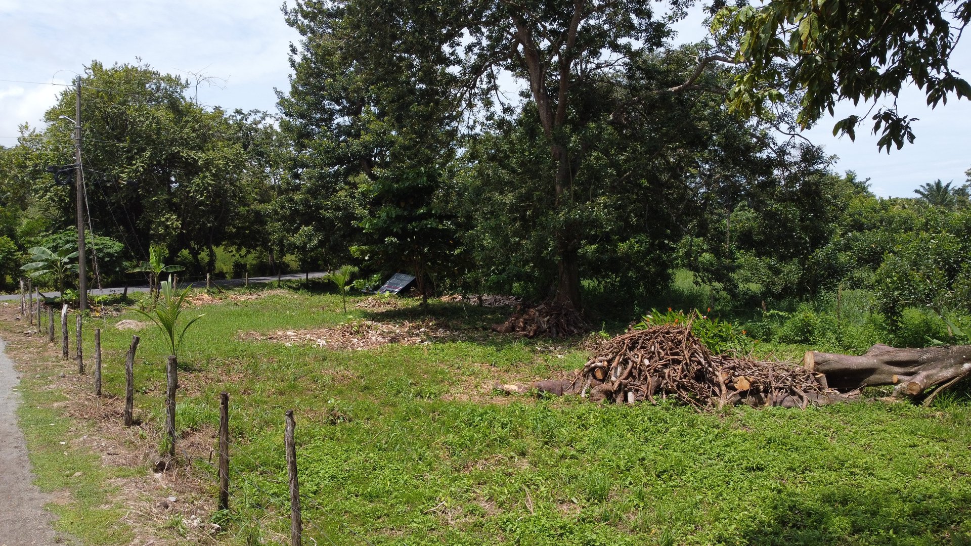 Prime Lot Just 350 Meters from Matapalo Beach – Ideal for Commercial or Residential Development