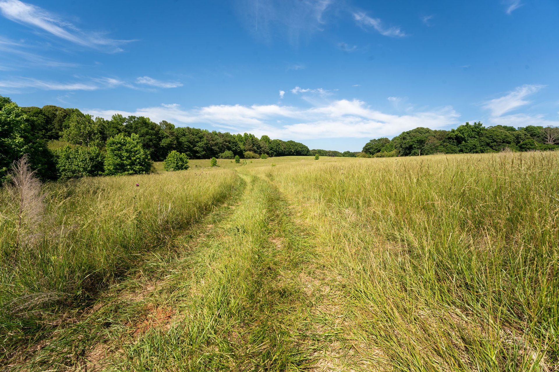 The Ranches at Sandy Creek