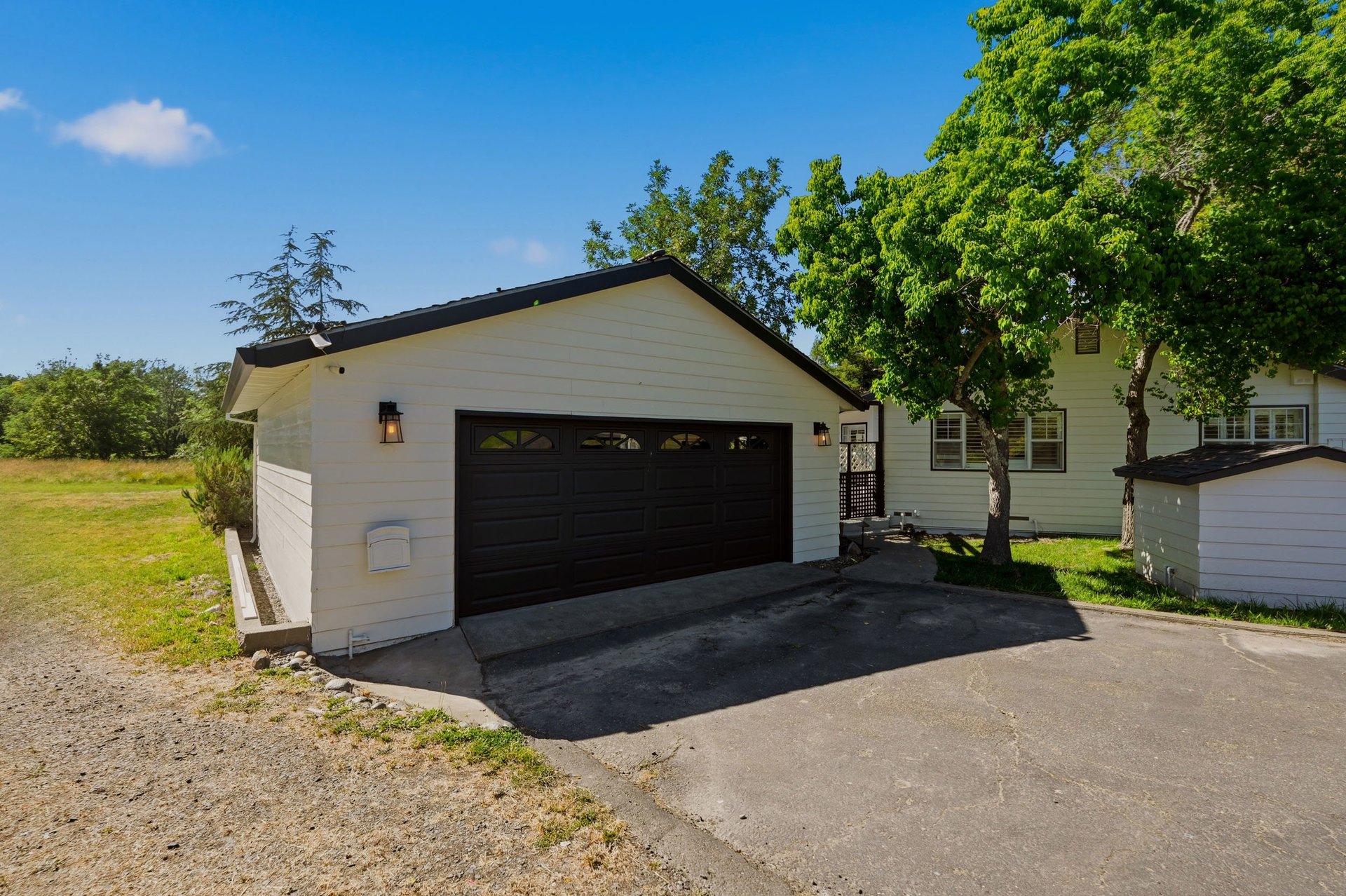 8174 Whited Road