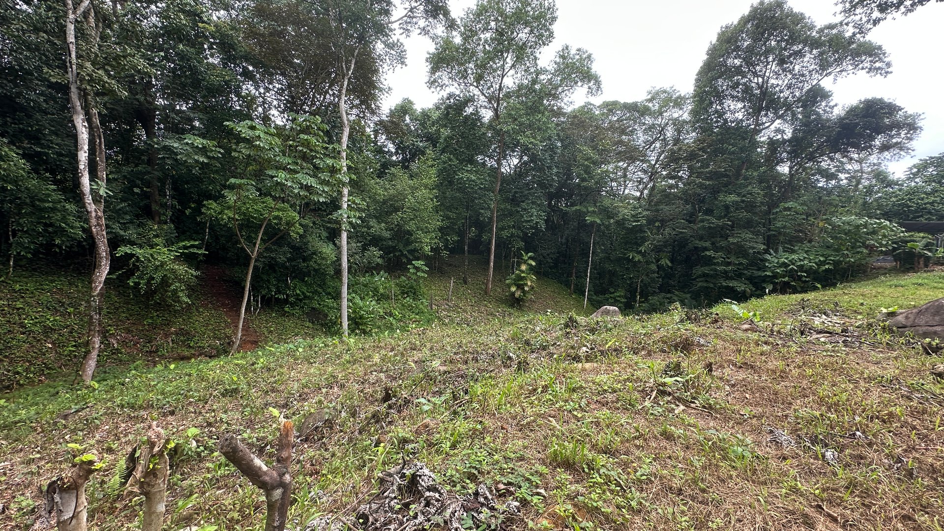 Ready to Build Ojochal Land with Riverfront 1.5 Acres, Residential and Commercial Possibilities!