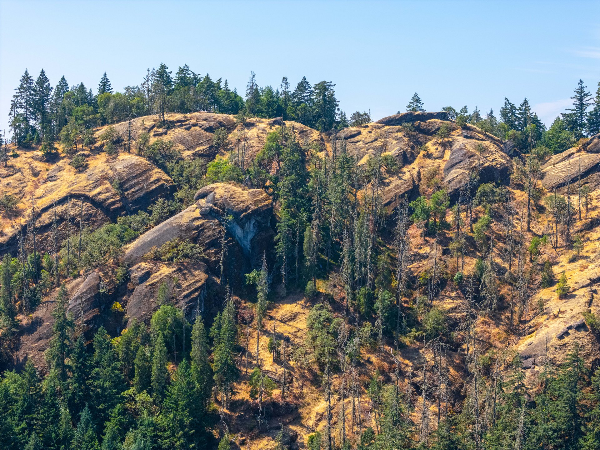 STRICKLAND BOULDER FOREST