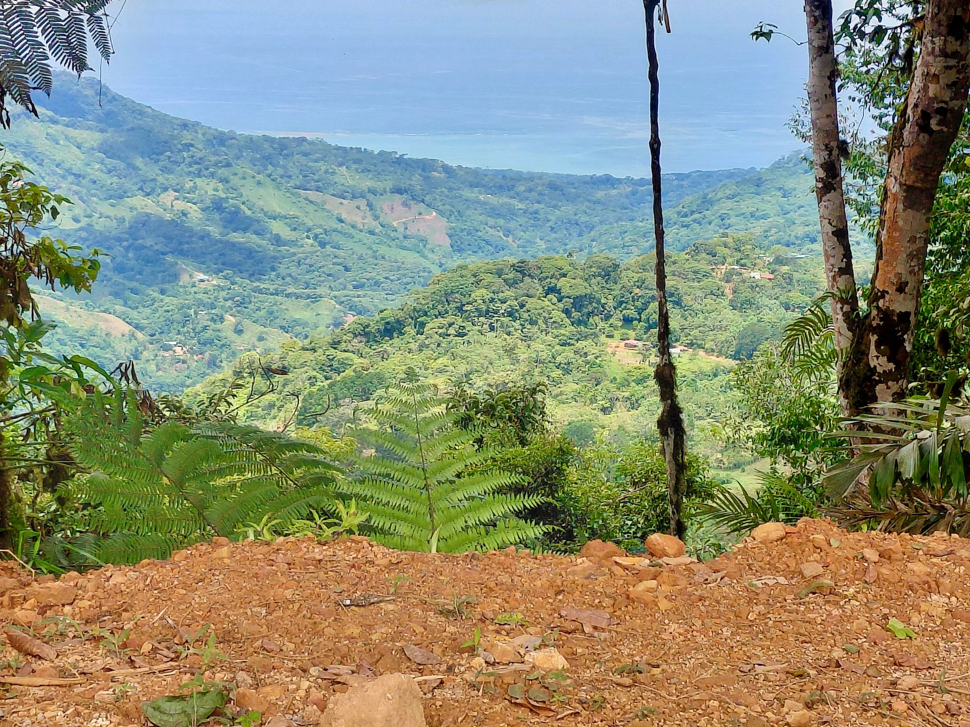 Motivated Seller | Ocean View Lot in San Luis de Morete, Uvita