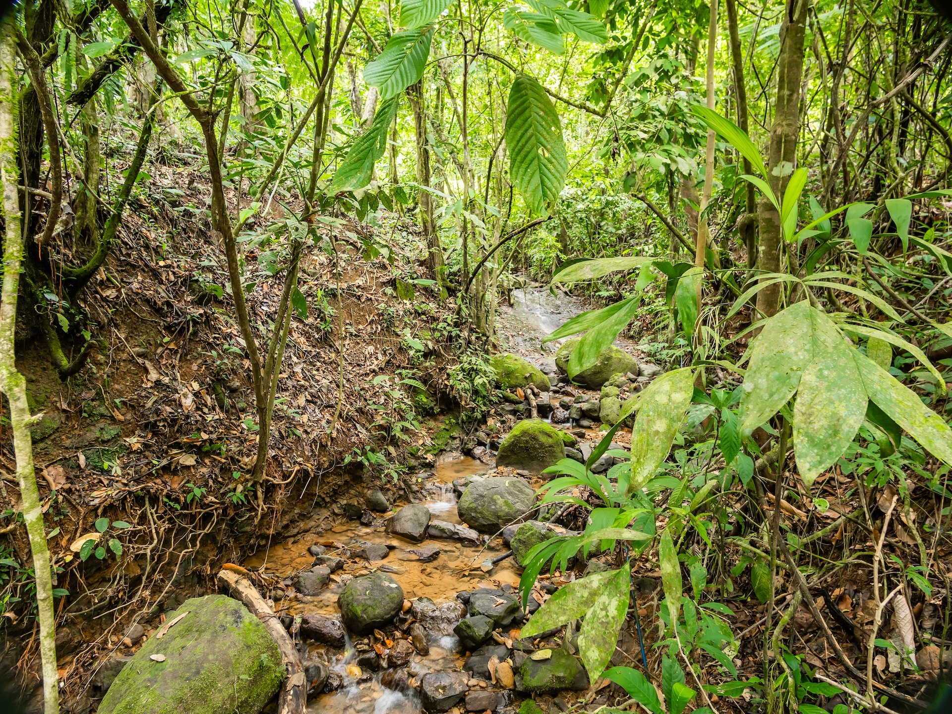 Scenic 2-Home Property for Sale in Serenity Gardens, Costa Rica – 1 Acre Mountain Estate Near Ojochal