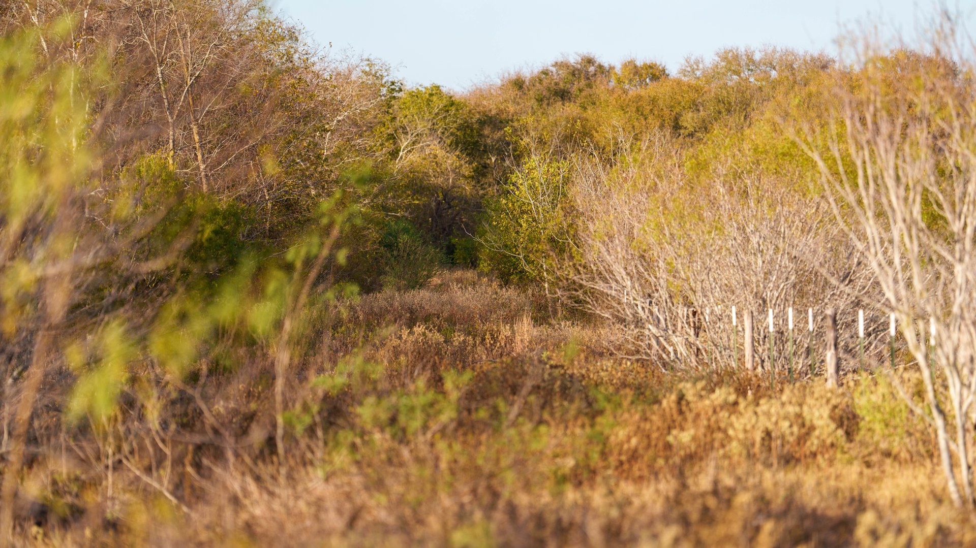 Gonzales County | 104+/- Acres