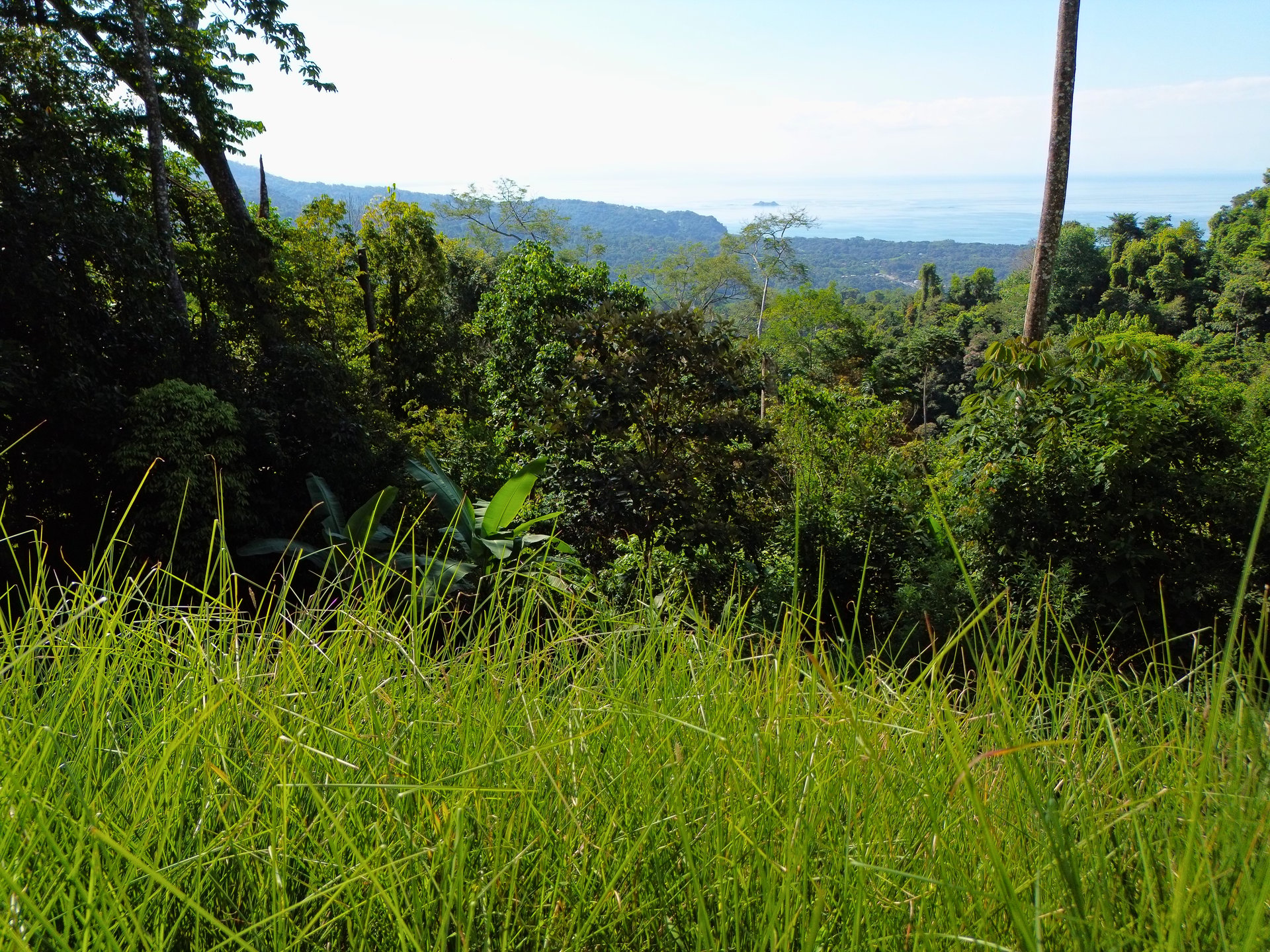 Build-Ready Ocean View Lot in Uvita Hills