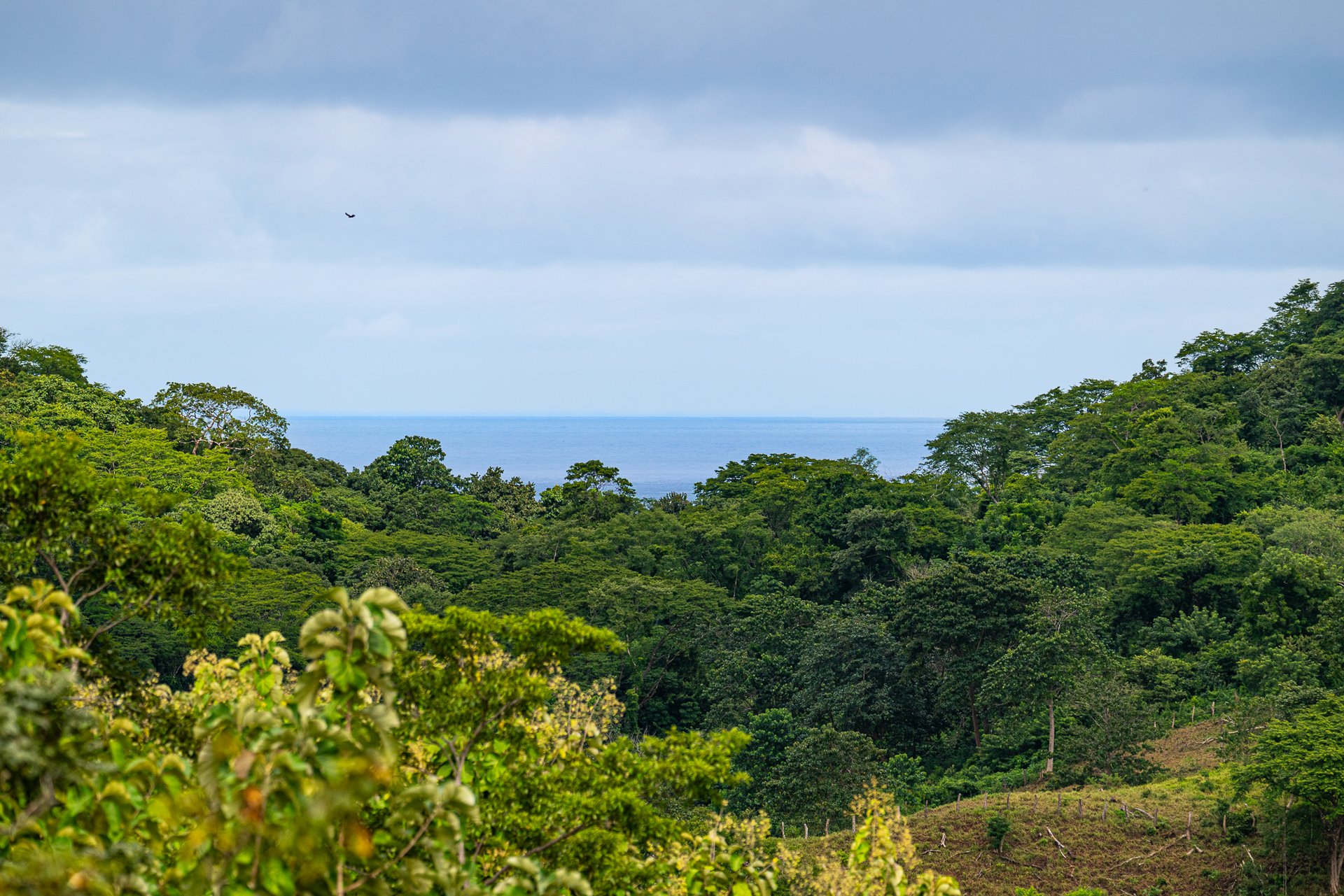 Casa Coroico | Ocean View Investment Opportunity in Pinilla Highlands