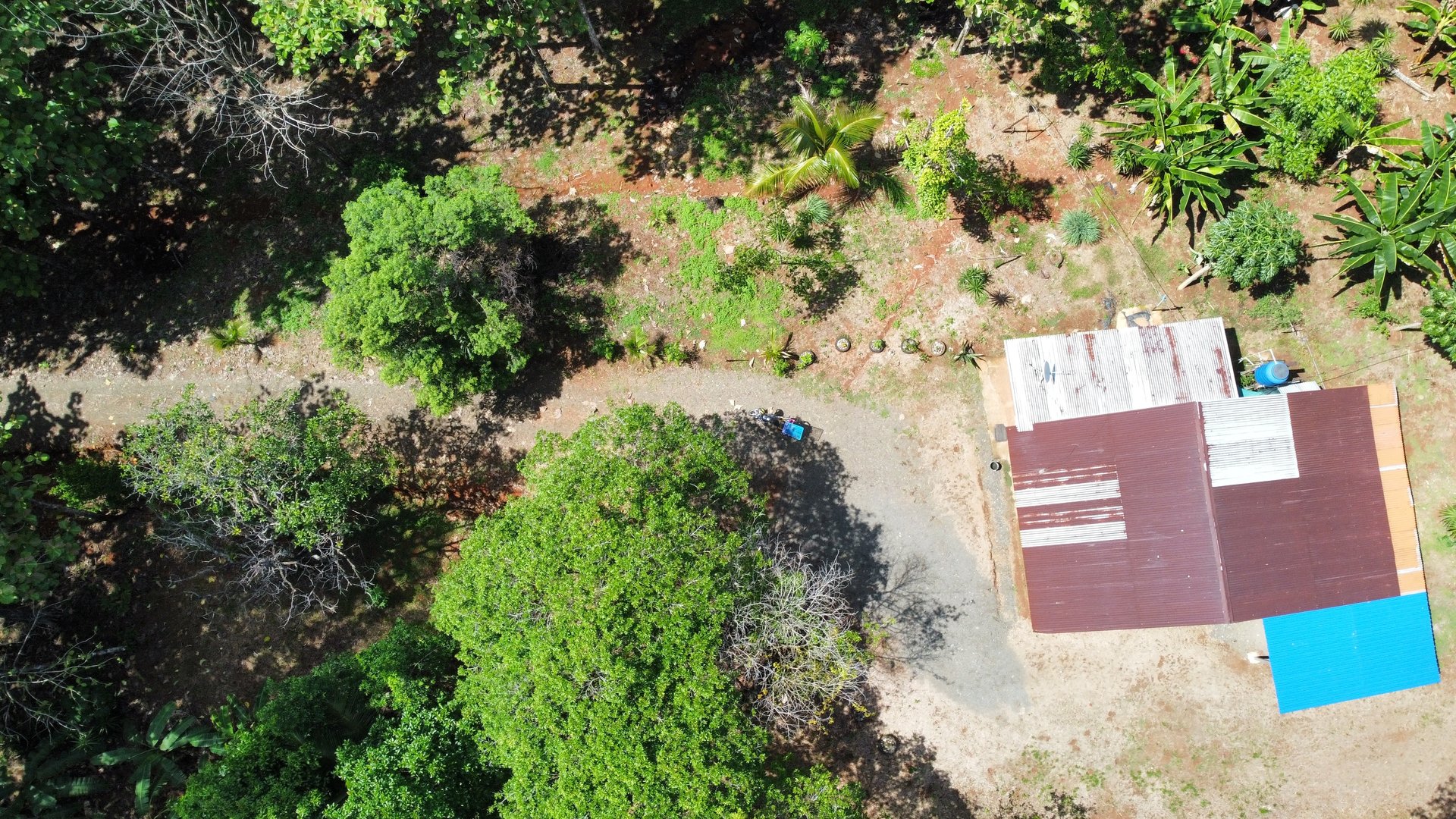 7-Hectare Farm with Teak Plantation, Existing Home & Eco-Development Potential Near Parrita, Costa Rica