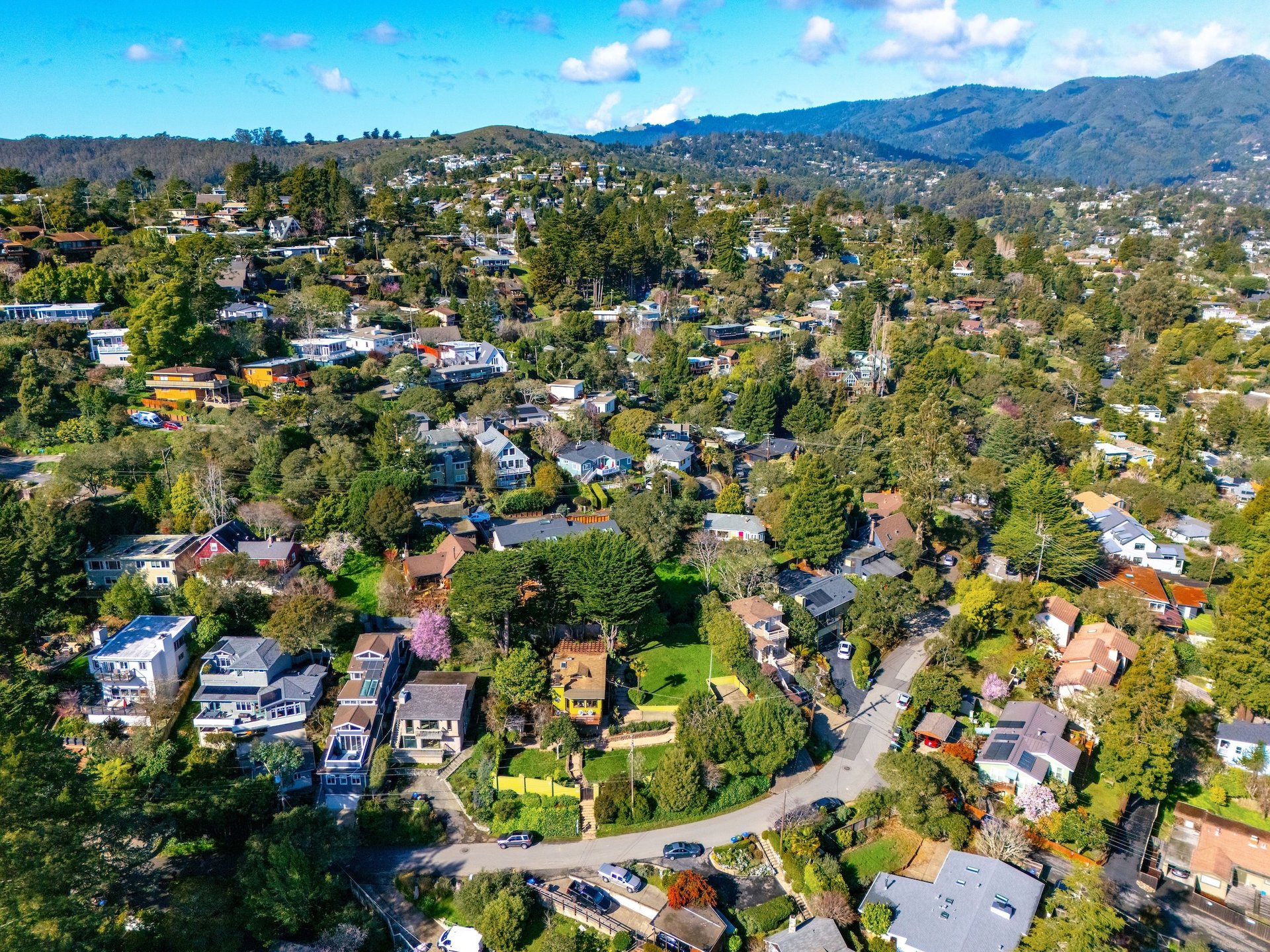 Mill Valley - Sold Over Asking