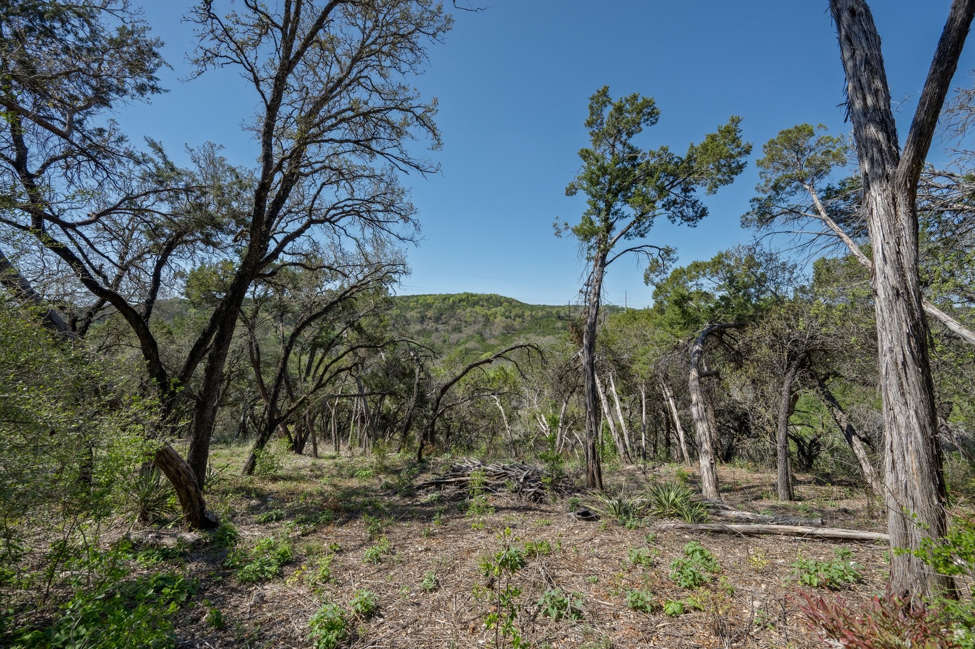 9106 Yucca Mountain Road