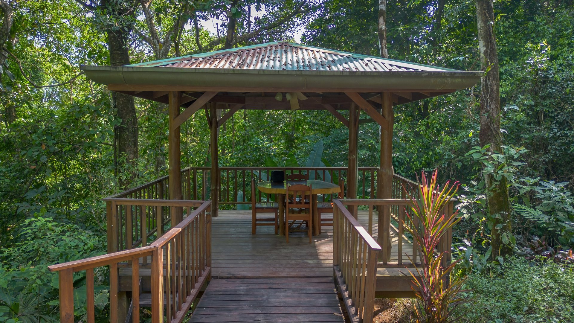 Private Jungle Oasis! 1 Bed, 1 Bath Hatillo Haven