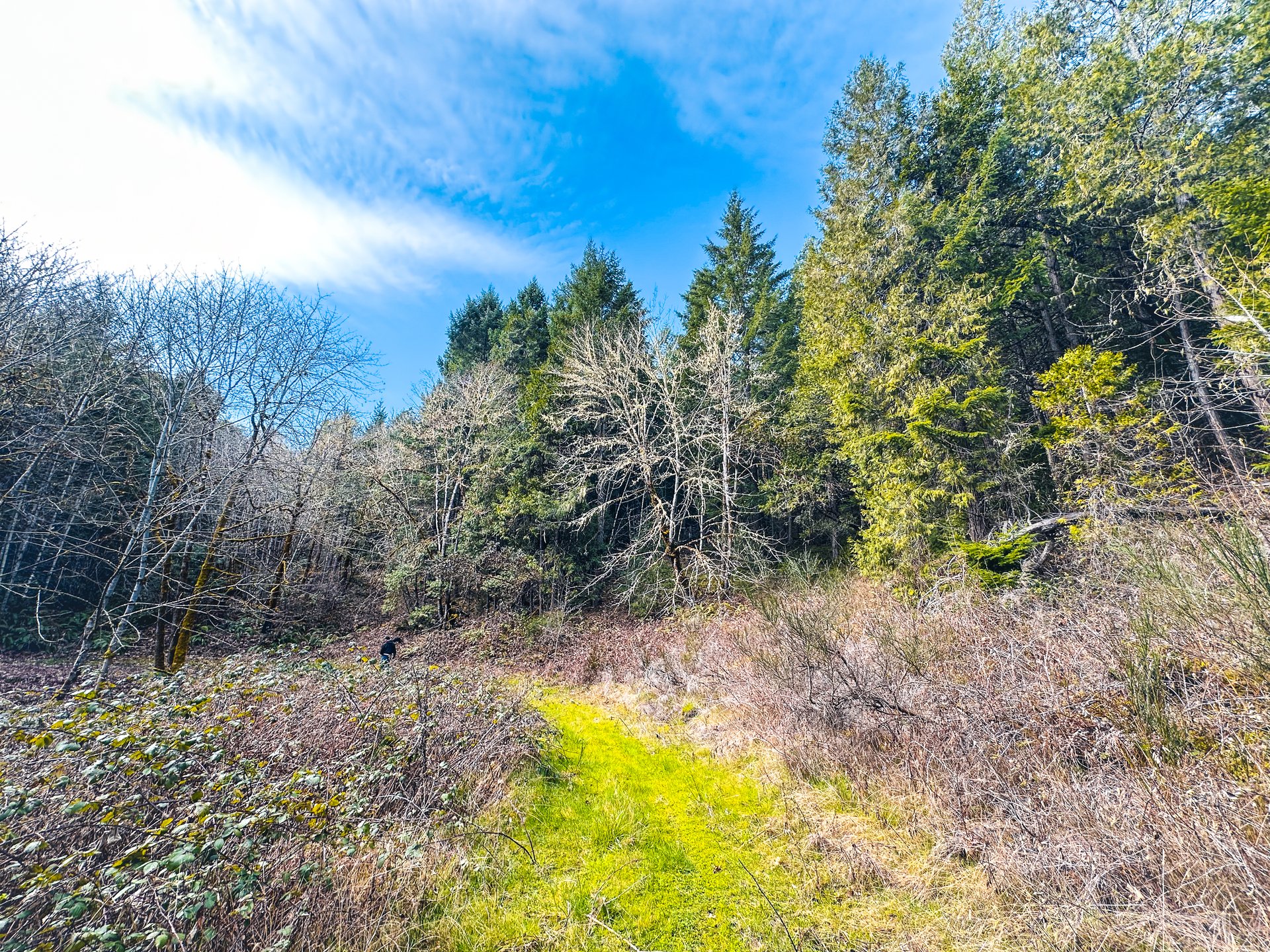SUTHERLIN HEIGHTS