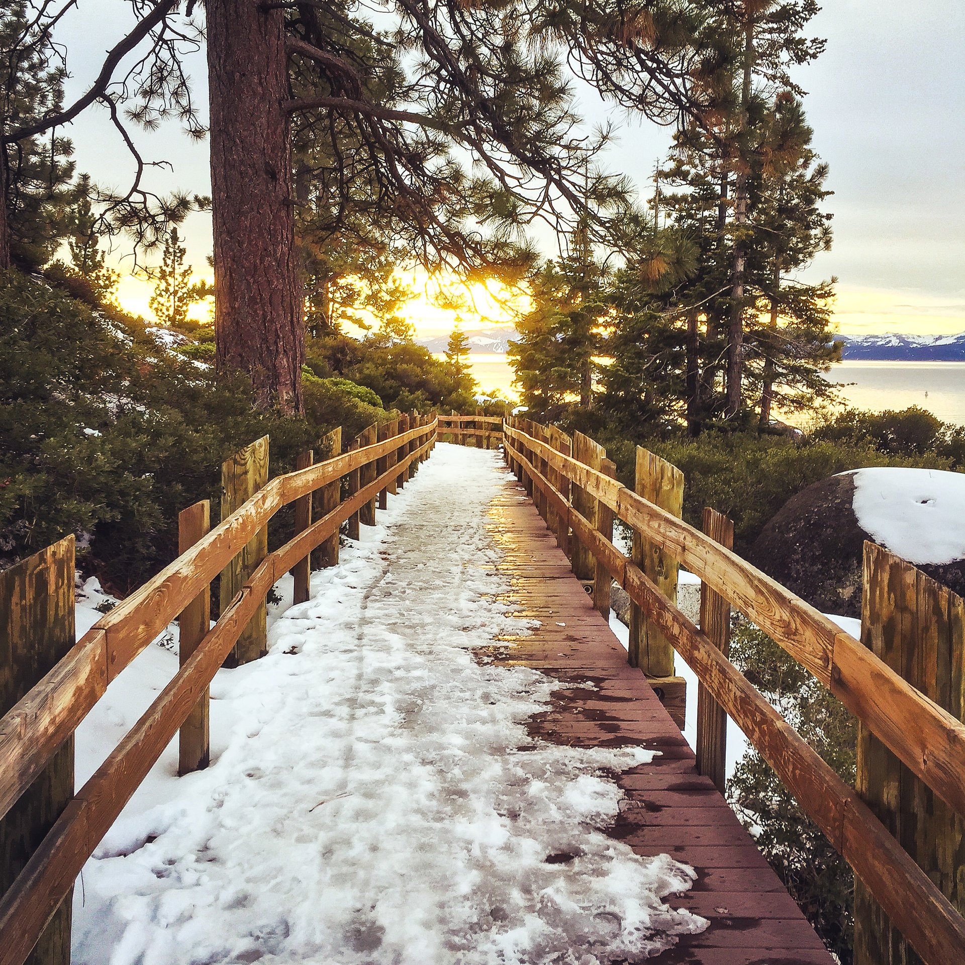 Heather Bacon Incline Village, NV Real Estate, LLC cover