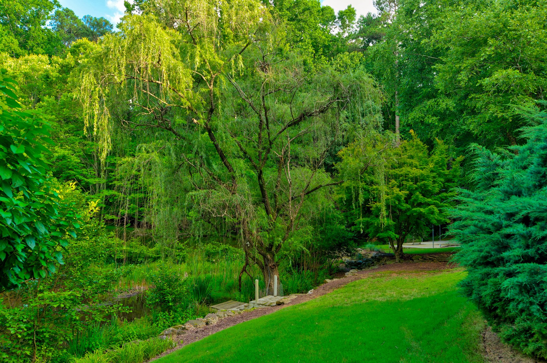 1055 Hedgerose Lane
