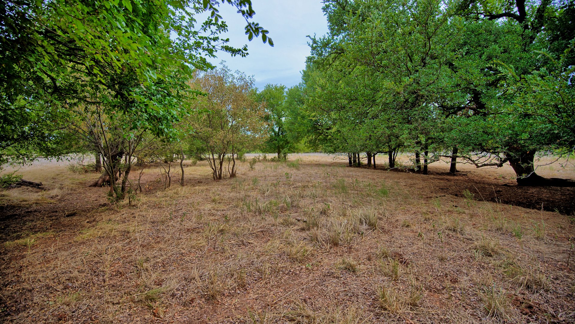 Cross Creek Ranch 