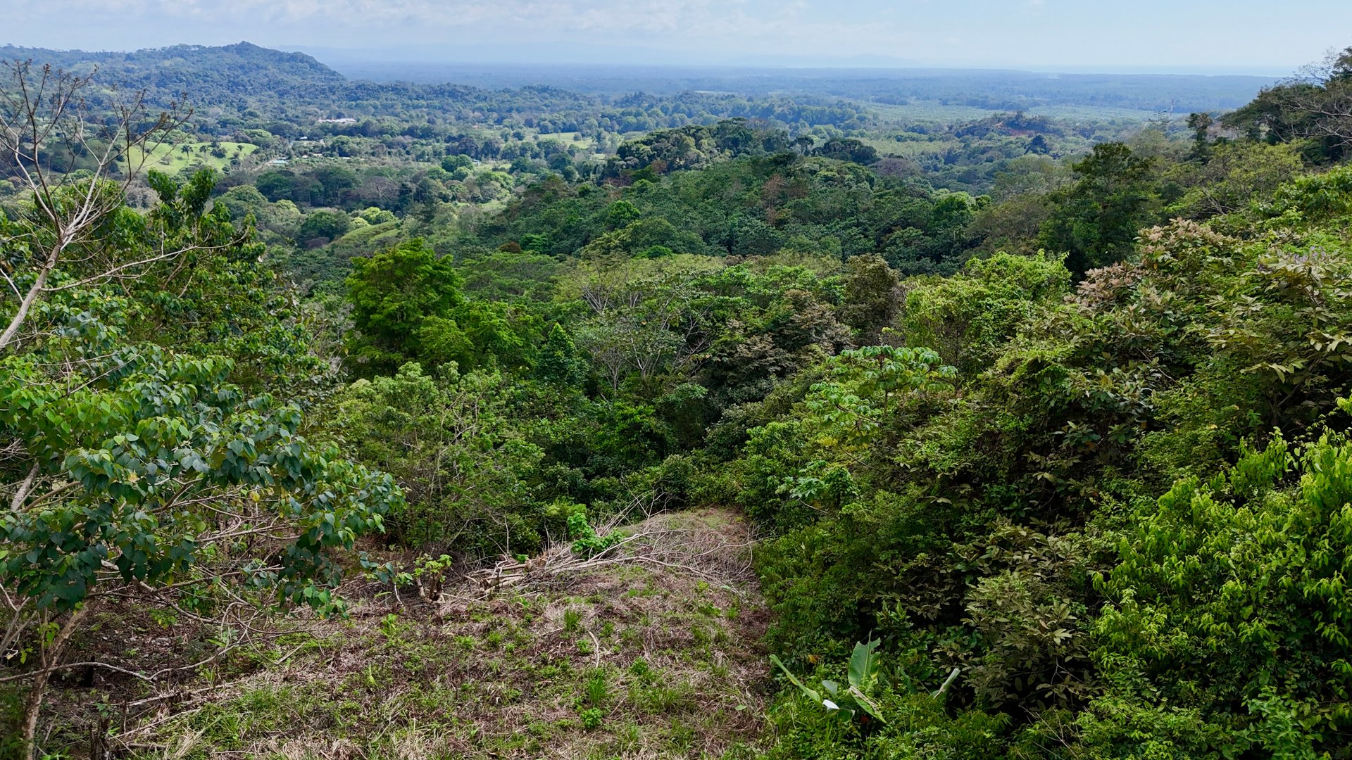 Price Reduced! Ocean View Lots in San Buenas – Just $70K Each
