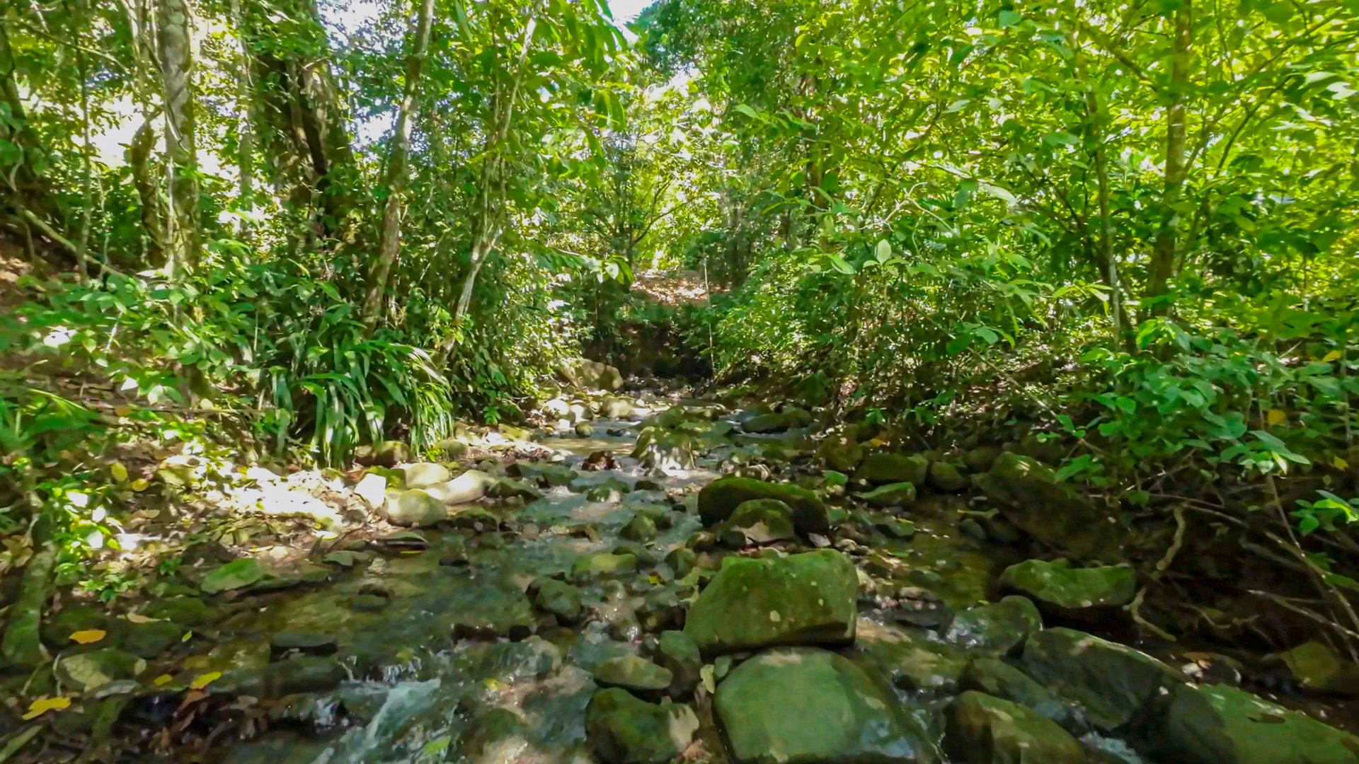 Development Parcel Central Uvita with River!