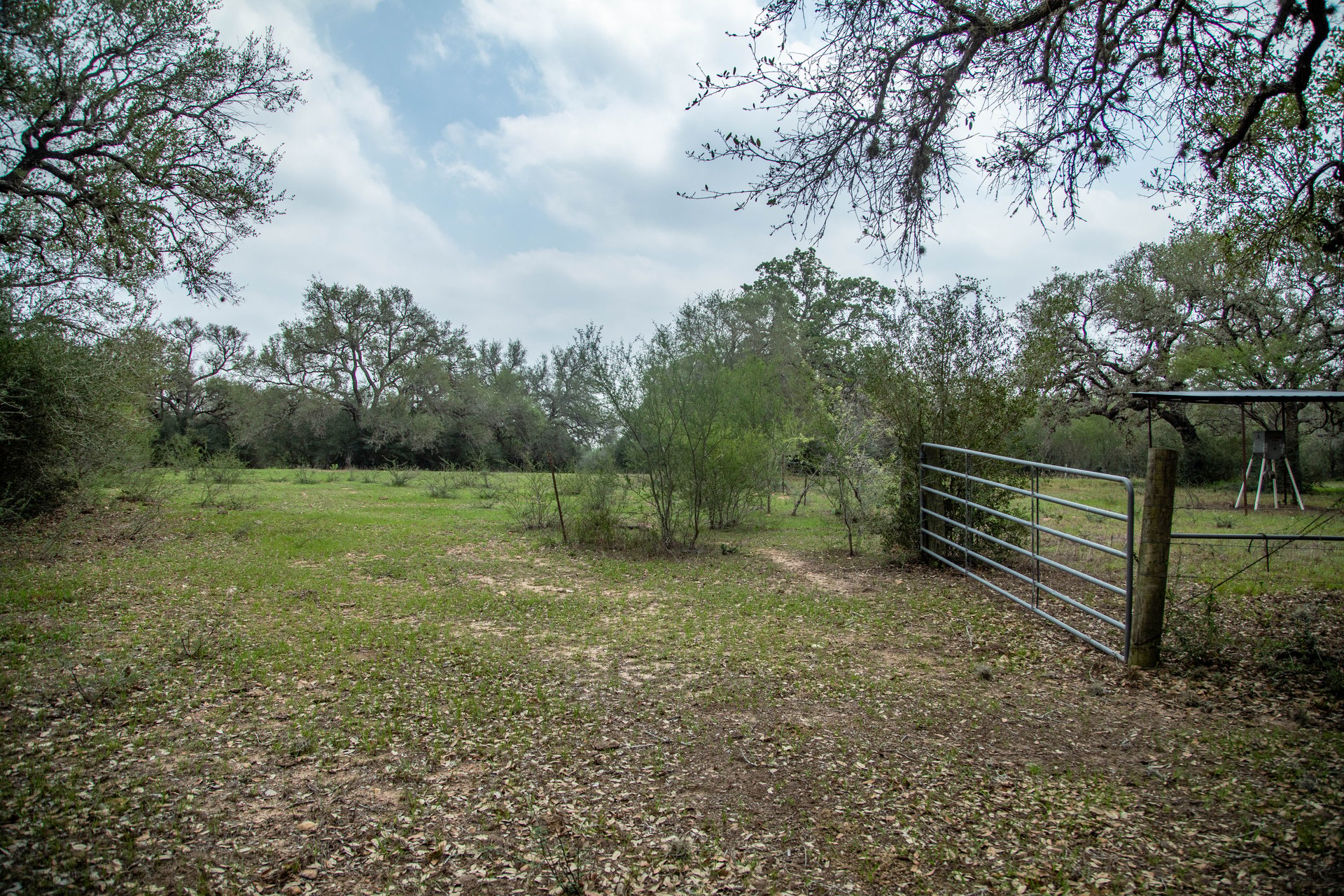 Five Mile Creek Reserve | 252.73± Acres-High Fence | DeWitt County, TX