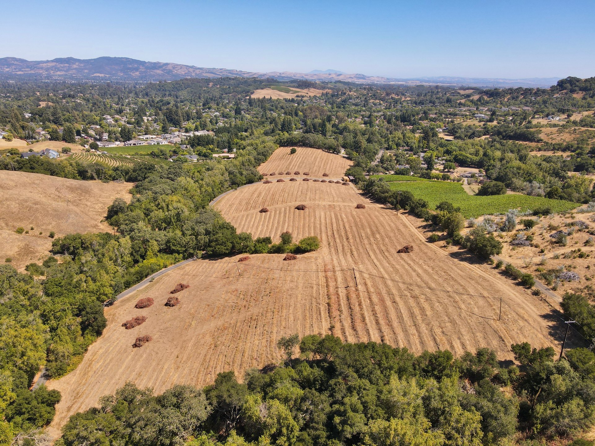 Tambor Vineyard Estate