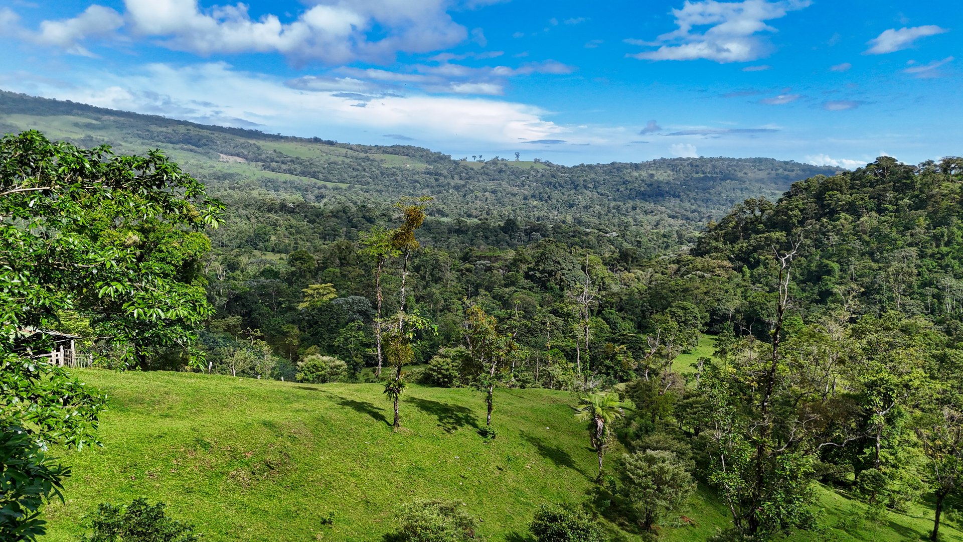 Finca Altamira | Boasting breathtaking panoramic views of the majestic Miravalles Volcano!