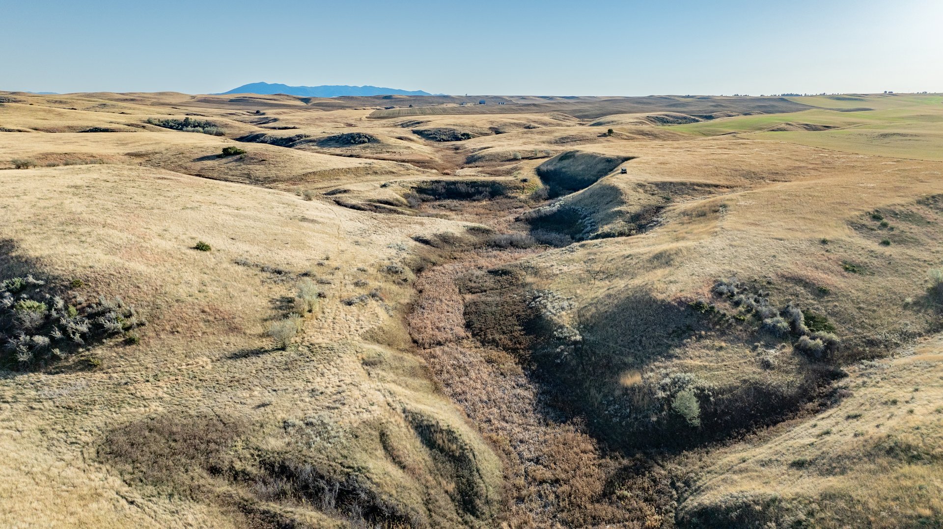 Salt Creek Ranch