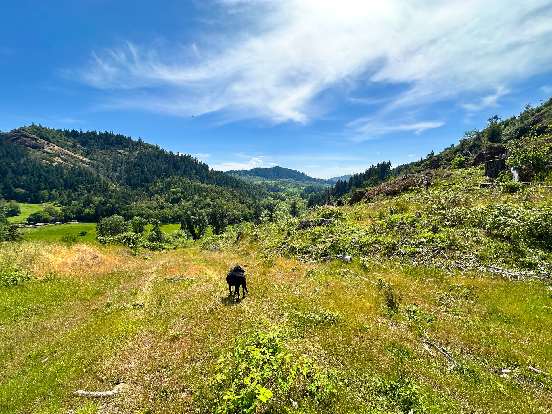 STRICKLAND CANYON HOMESITE