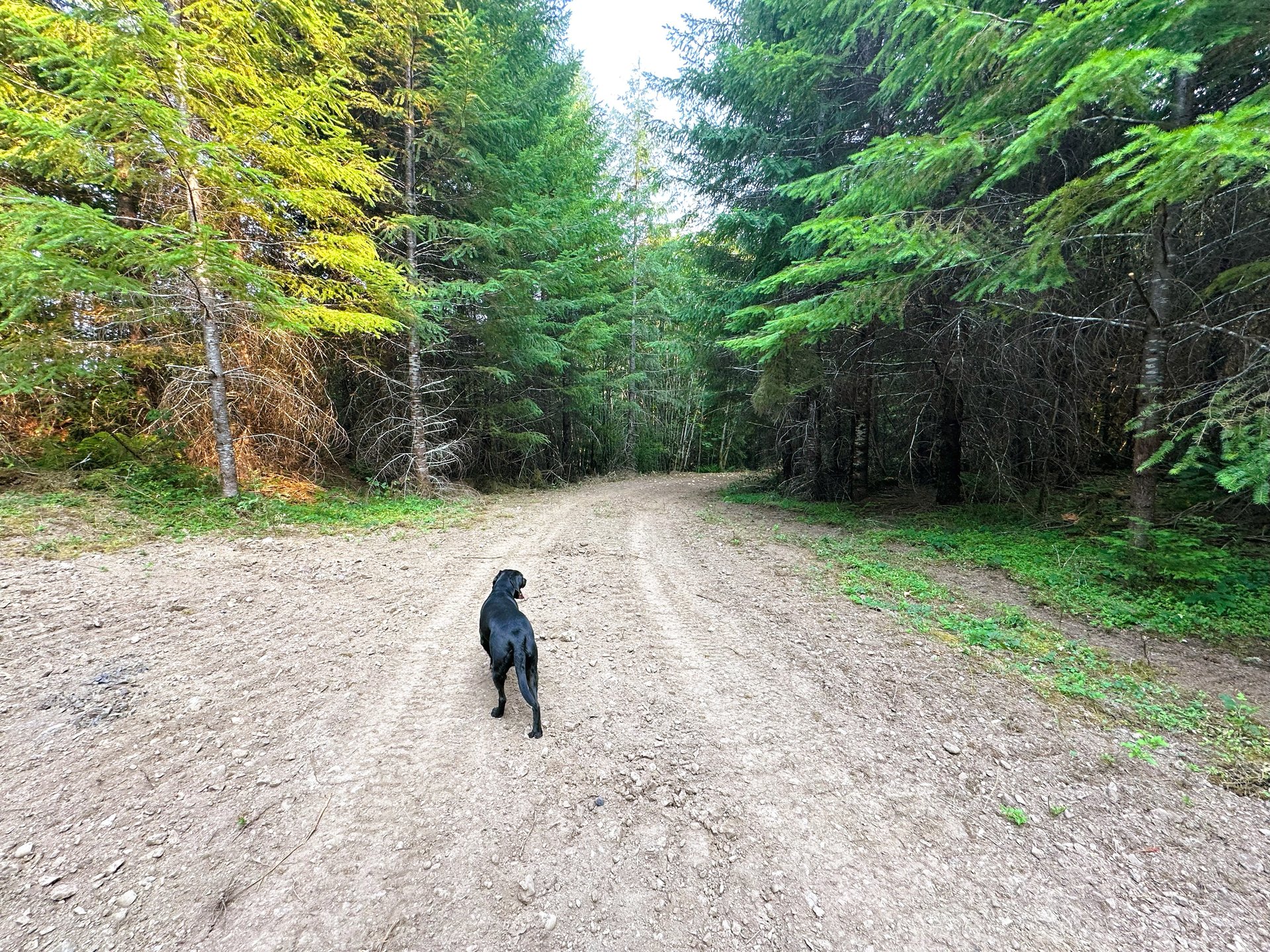 La Duke Woods