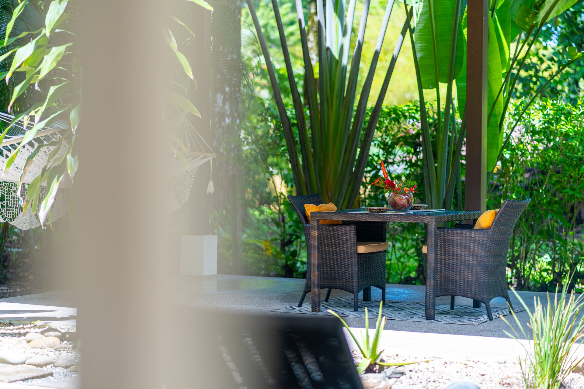 Tropical Modern Casita on ½ Acre / Saltwater Pool / Expansion Potential