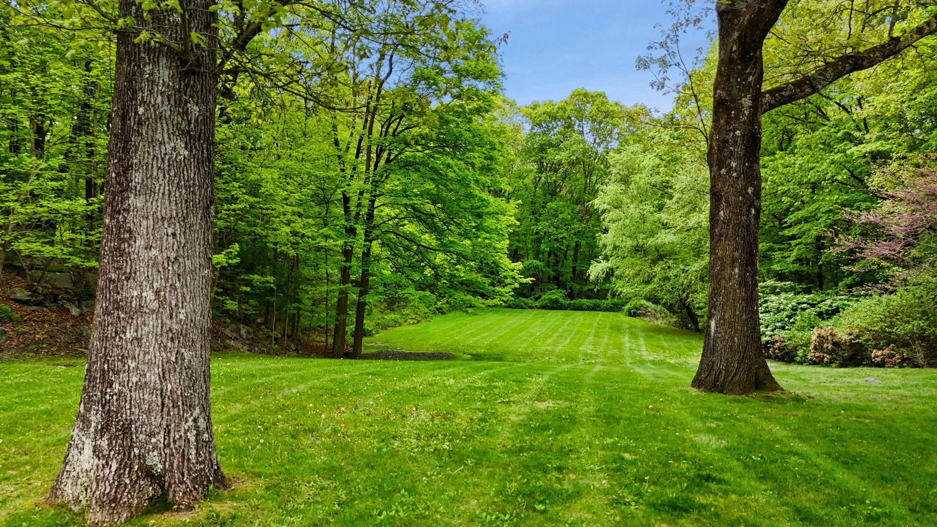 155 Hickory Kingdom Road