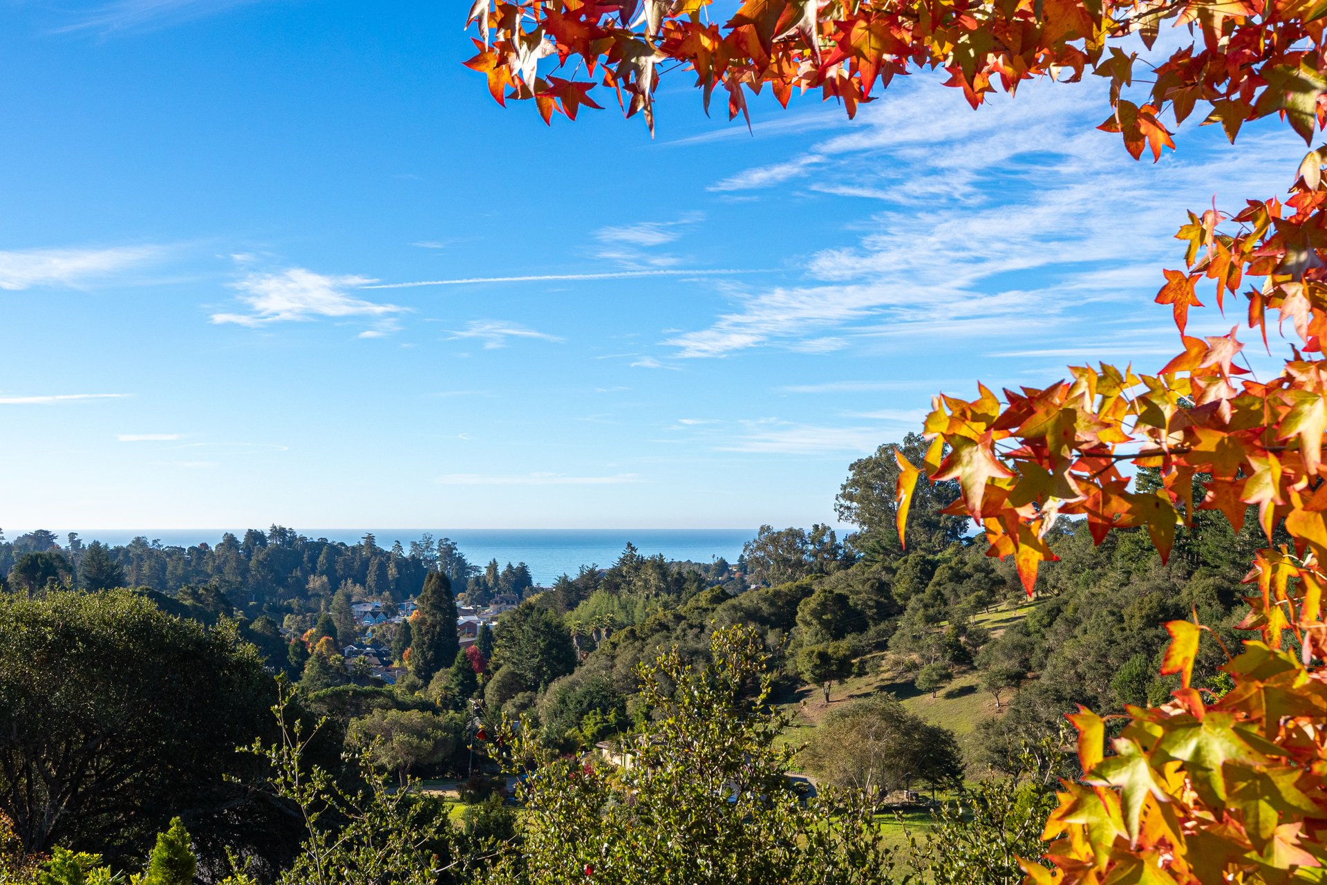 Aptos Oceanview Haven - 530 Quail Run