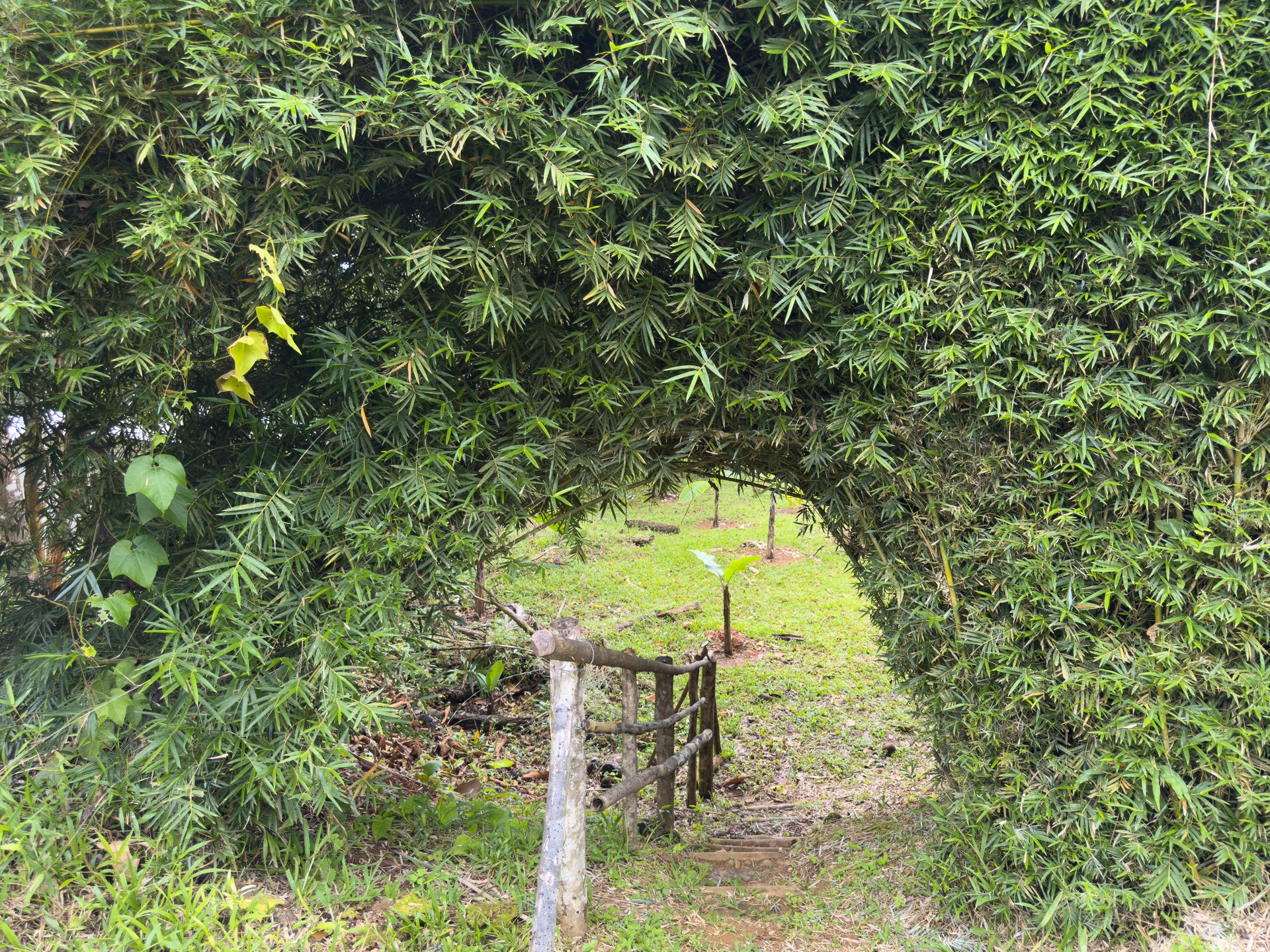 Tinamastes Eco Orchard | Creekside 2BR Home + Studio Casita