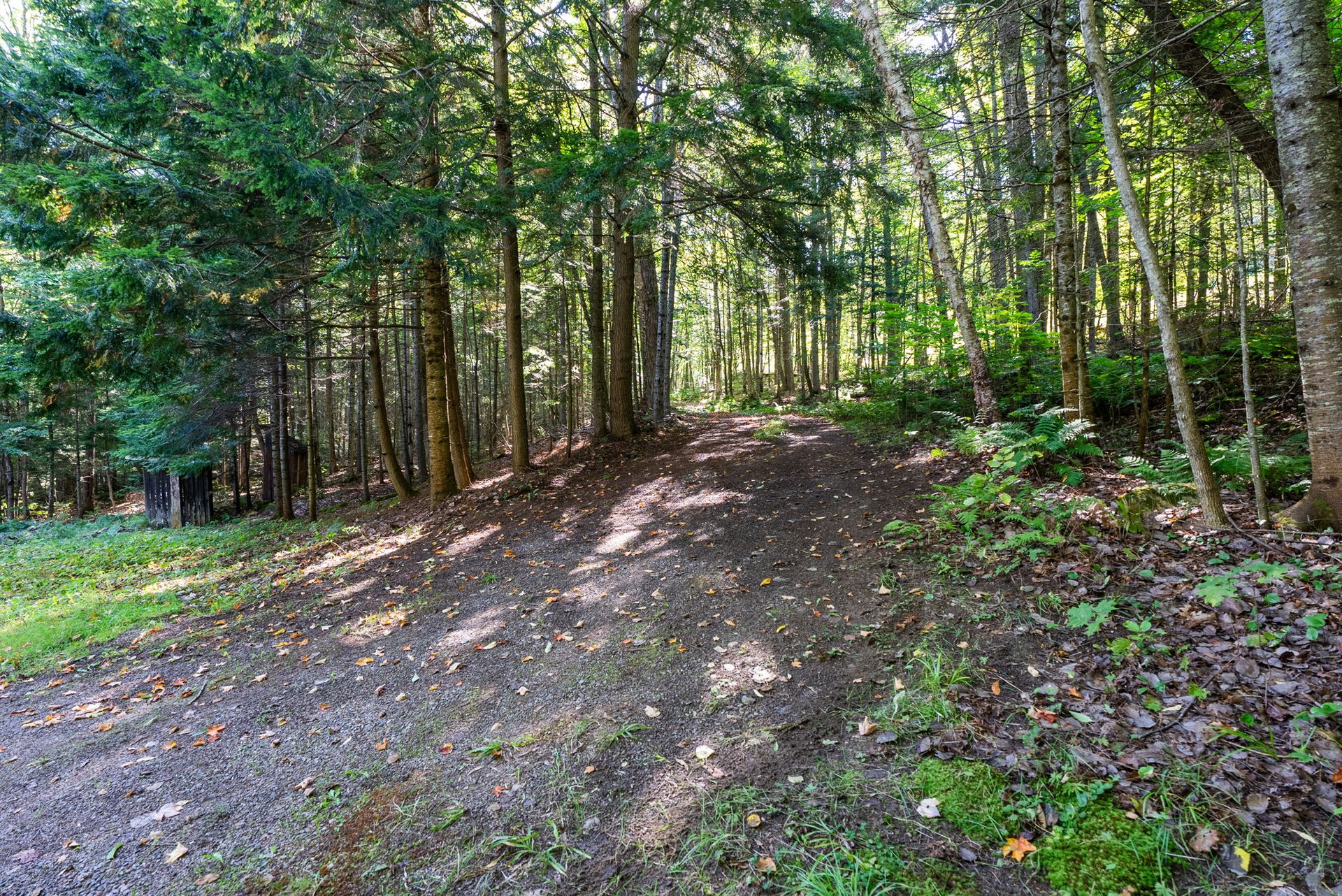 4339 Muskoka Road 117, Lake of Bays