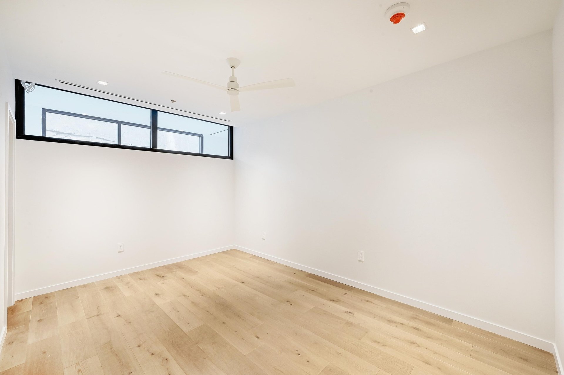 1006 Baylor Street #203