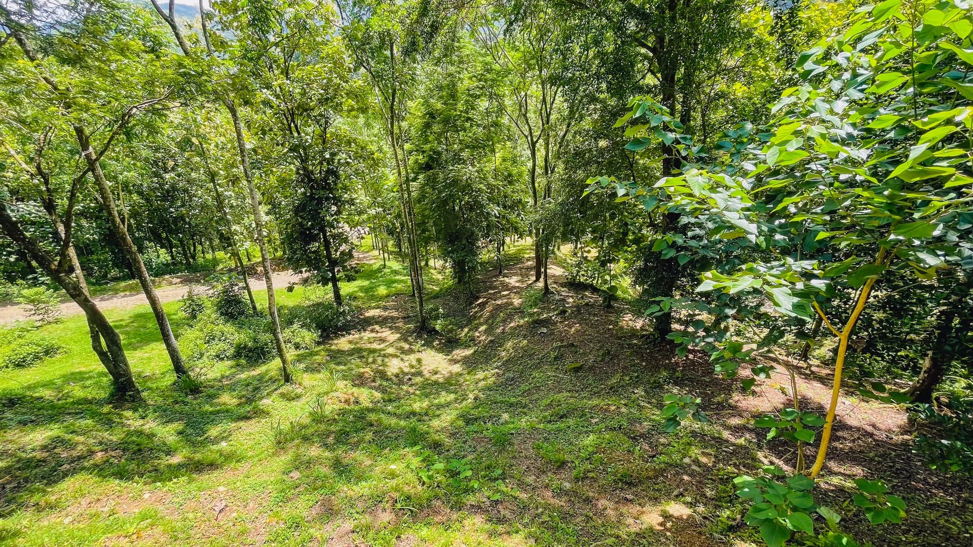 Mountain Chalet on 6.3 Acres with Stables & Panoramic Views