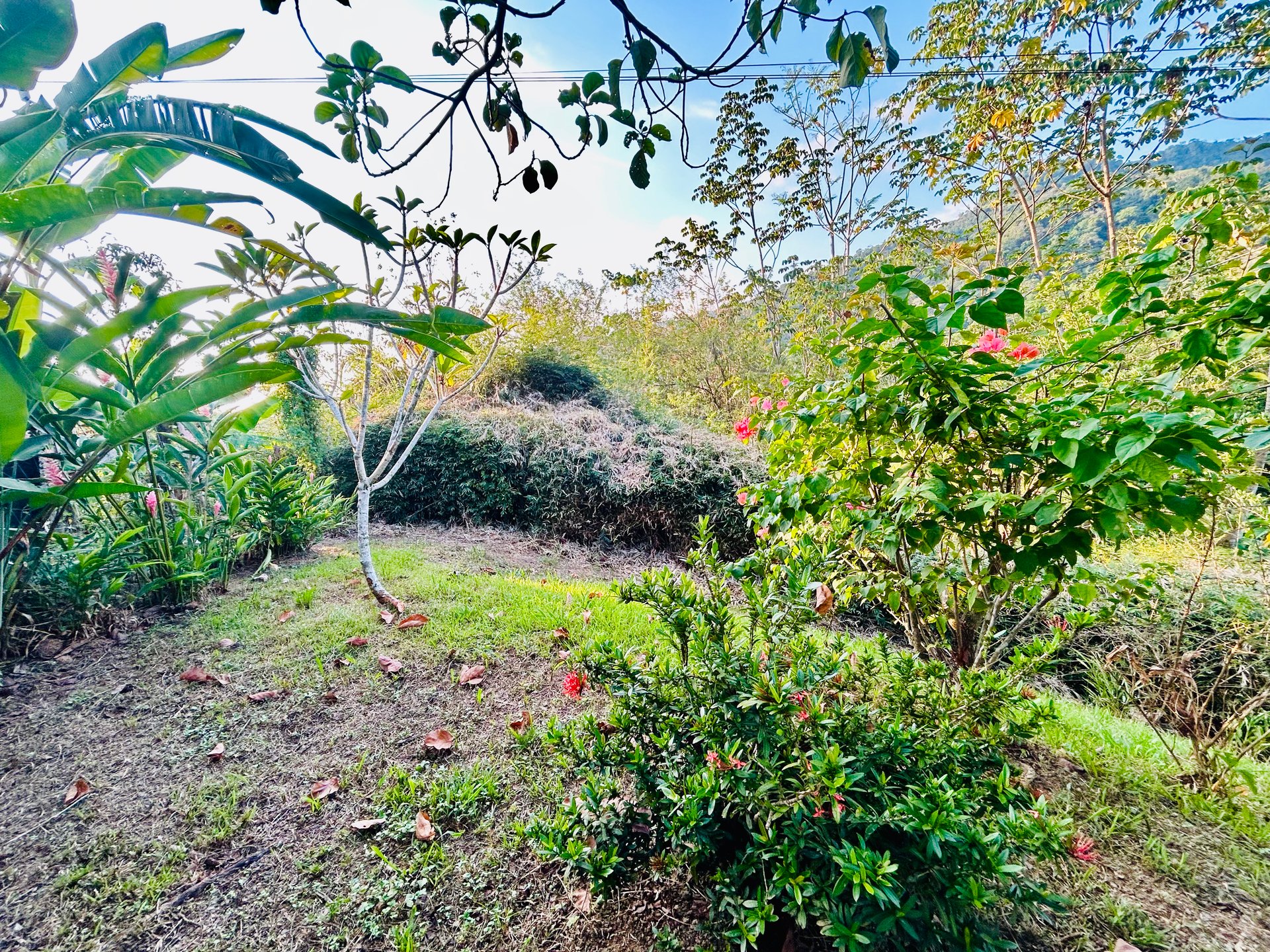 Tropical 2BR Home Near Playa Hermosa Beach | Successful Airbnb Rental in Uvita