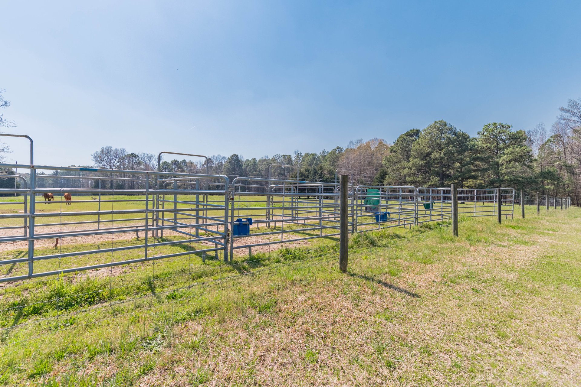 Watson Farms
