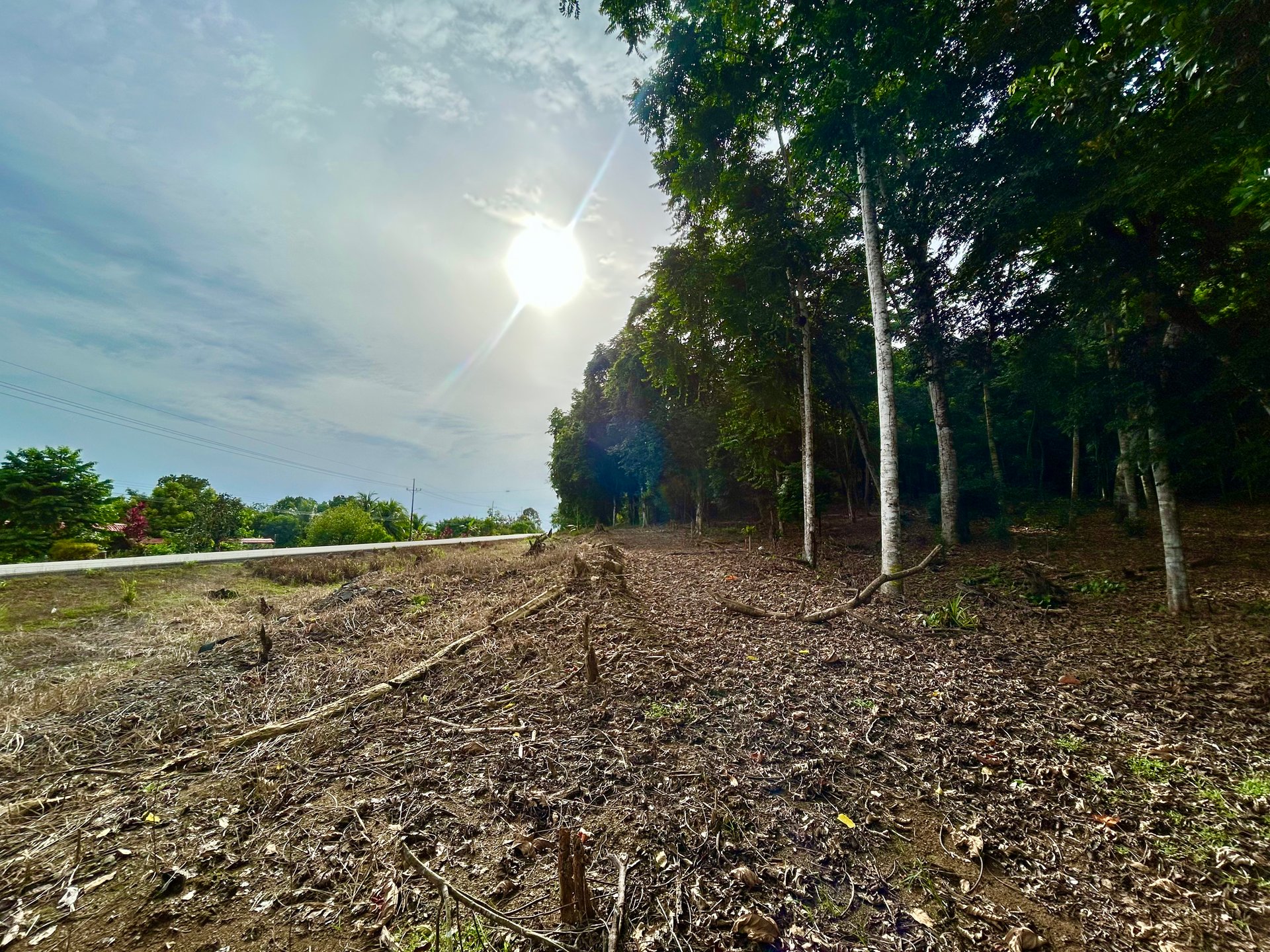 Tawal Lots for Sale – Prime Commercial & Residential Opportunity