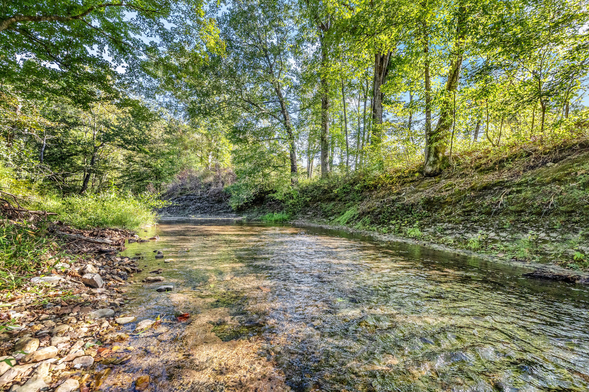 8192 Shoals Branch Road