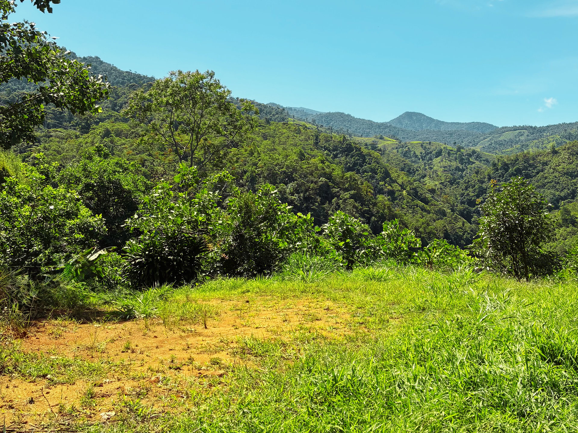 Breathtaking Mountain View Estate in Chimirol, Pérez Zeledón — 1.4 Hectares of Privacy, Nature & Potential