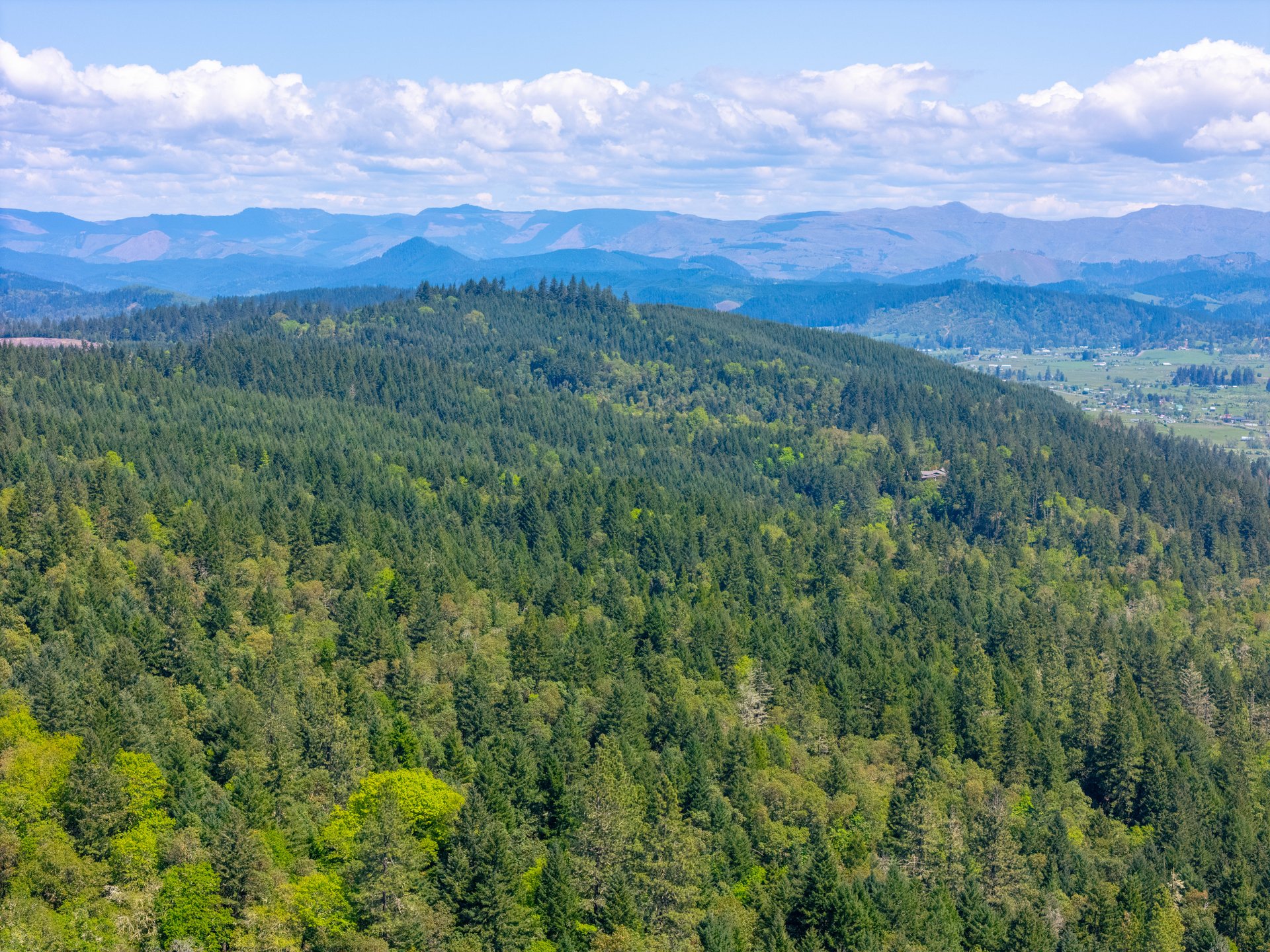 SUTHERLIN HEIGHTS