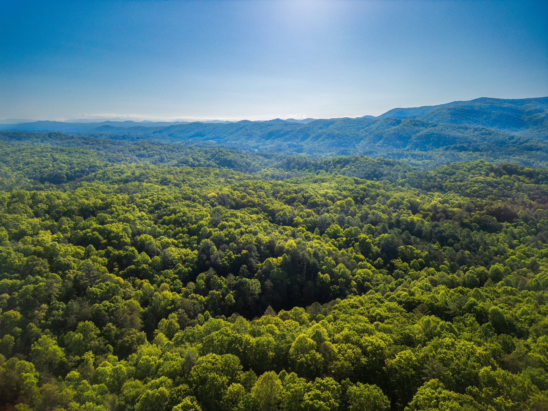 90 Holloway Circle, Blue Ridge, GA 30513