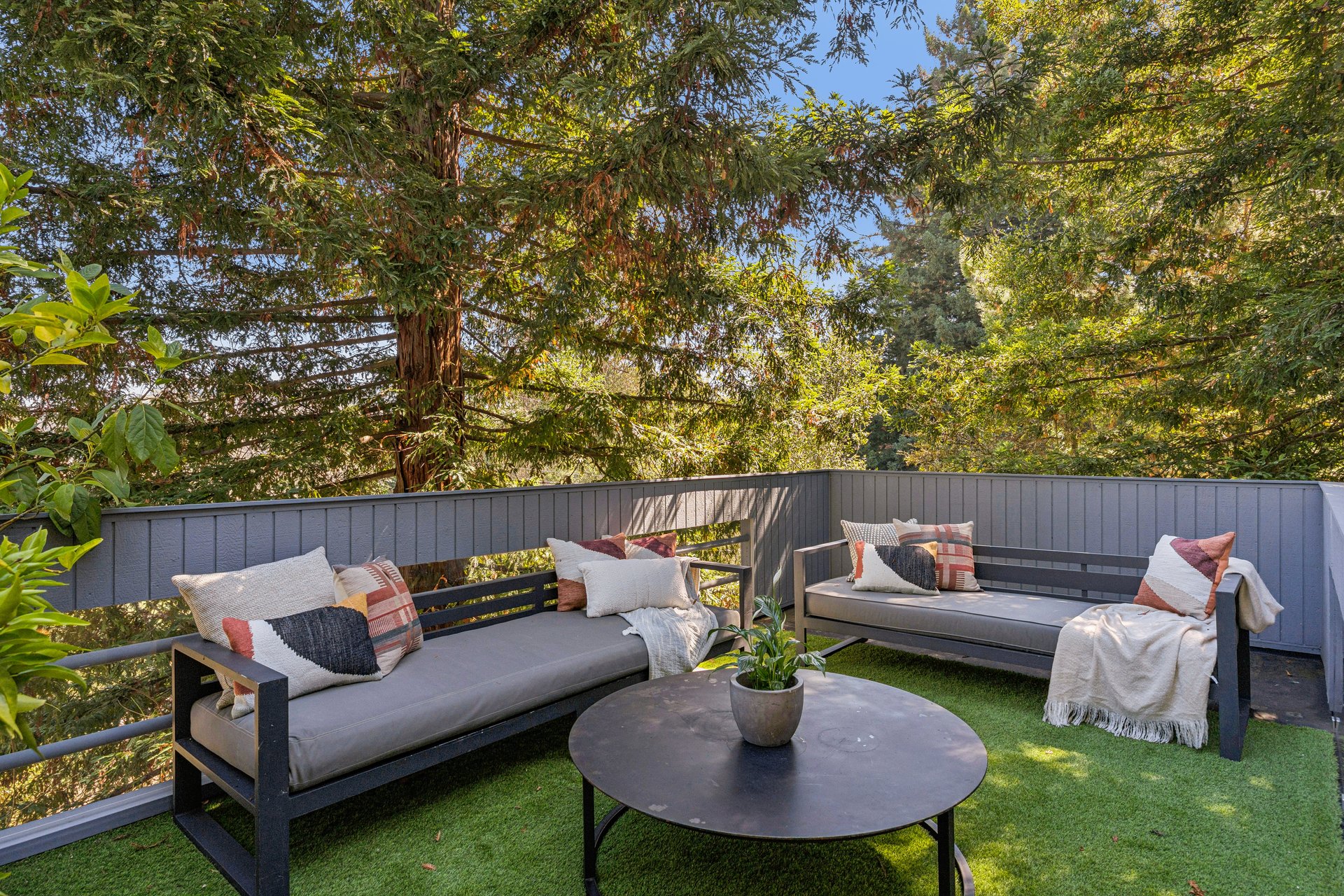 Contemporary Berkeley Hills Treehouse