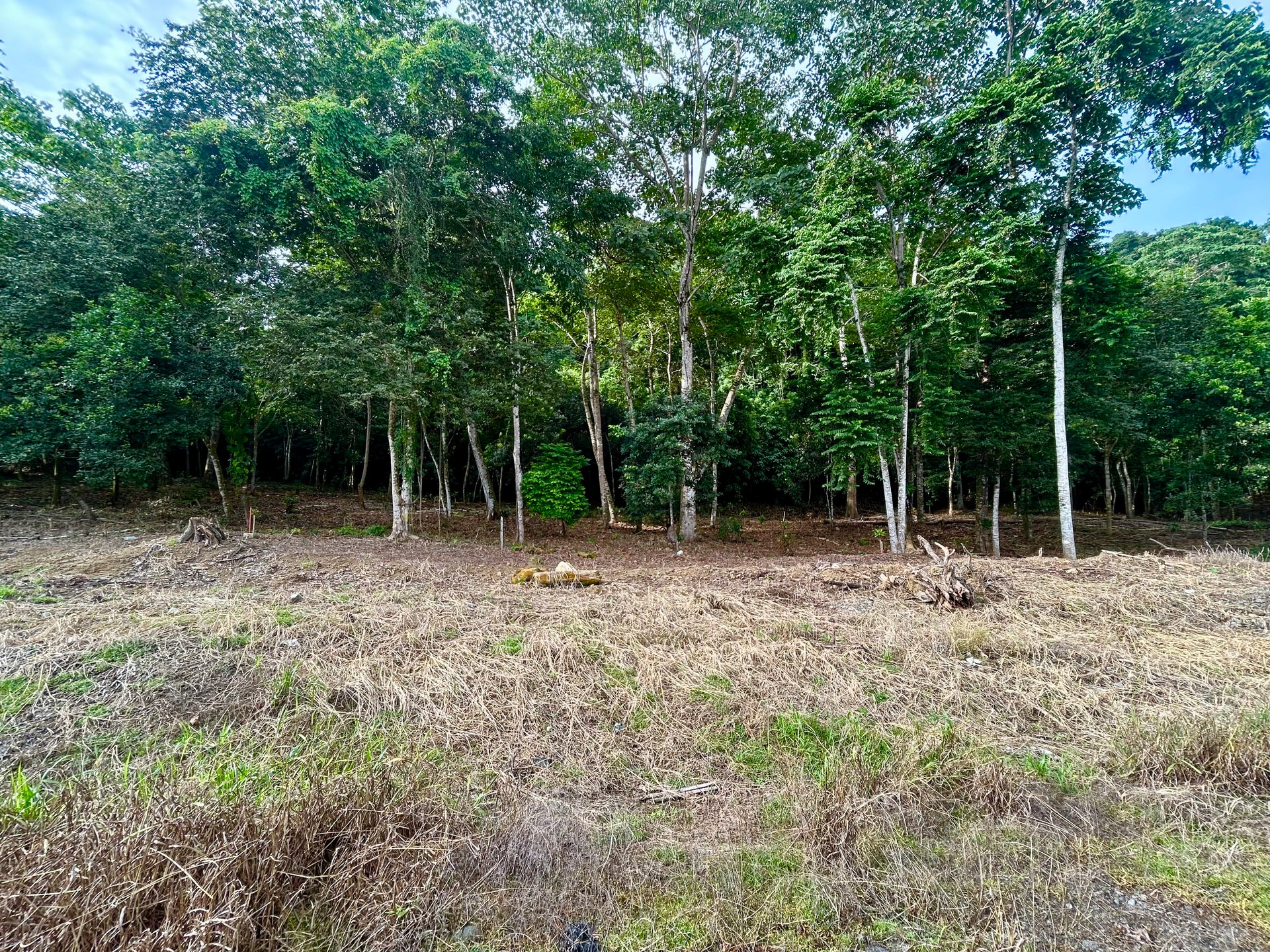 Tawal Lots for Sale – Prime Commercial & Residential Opportunity