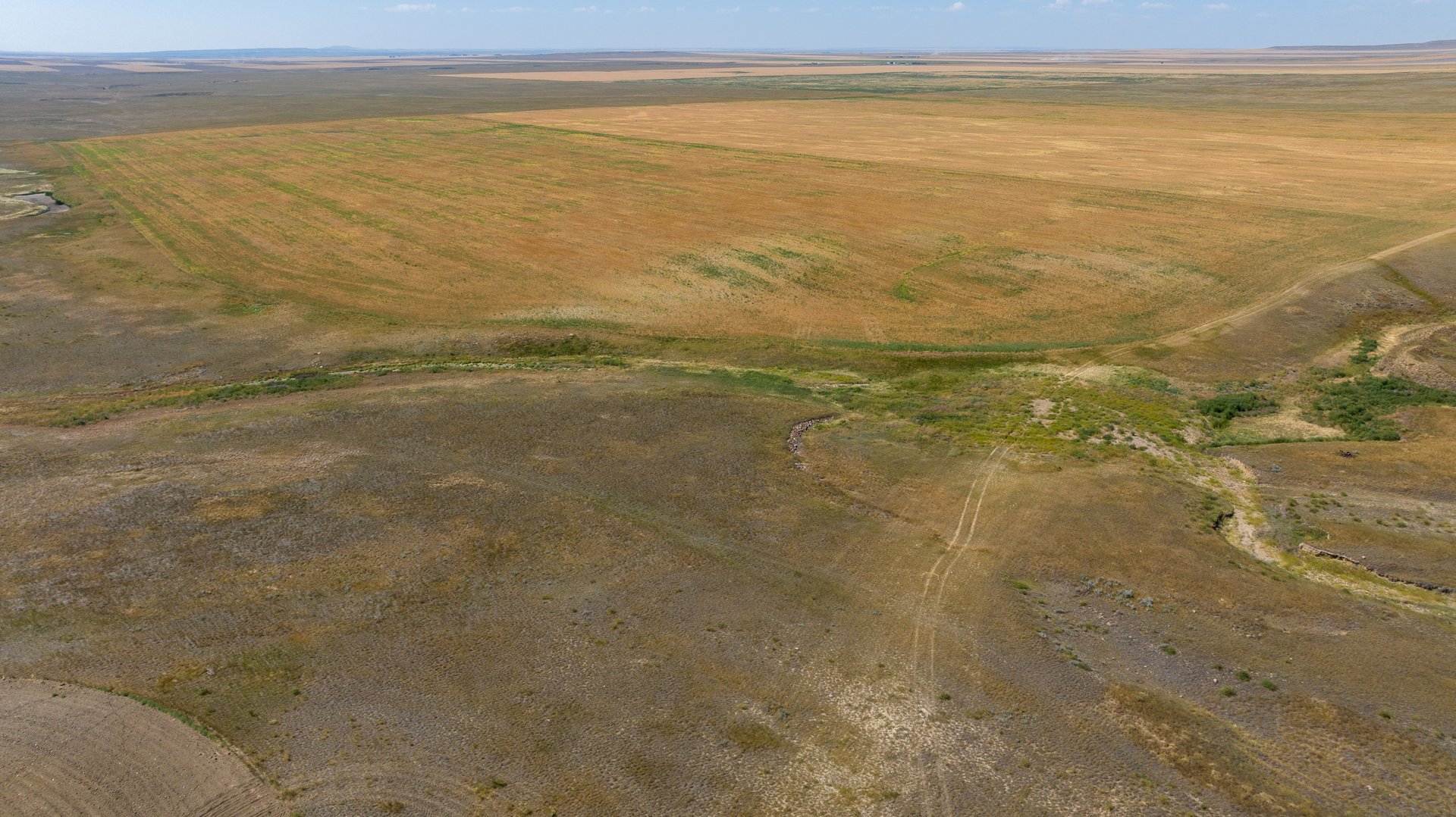 Hill County Organic & CRP Farm