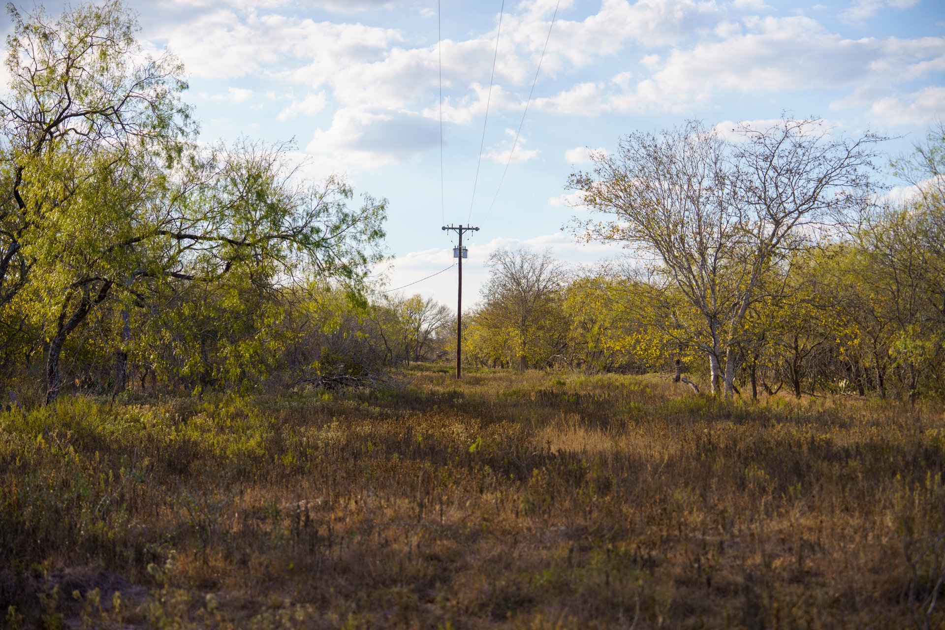Gonzales County | 104+/- Acres