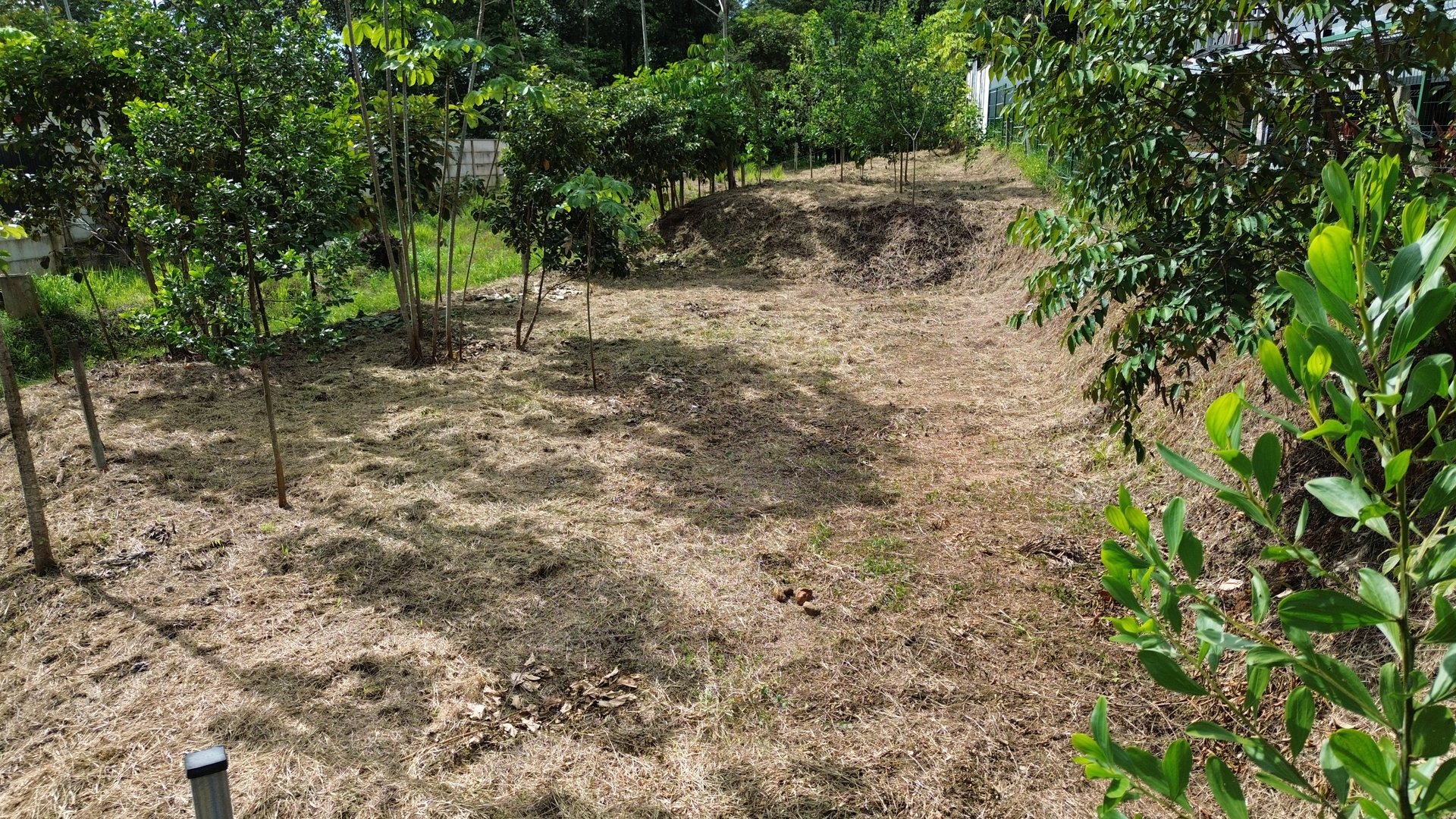 Affordable Uvita Lot UNDER $200-per-sqm - Perfect for Your Dream Home or Airbnb Investment