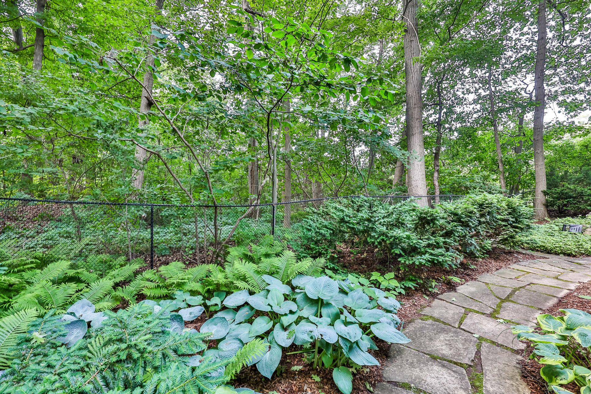 1346 Whiteoaks Avenue, Mississauga