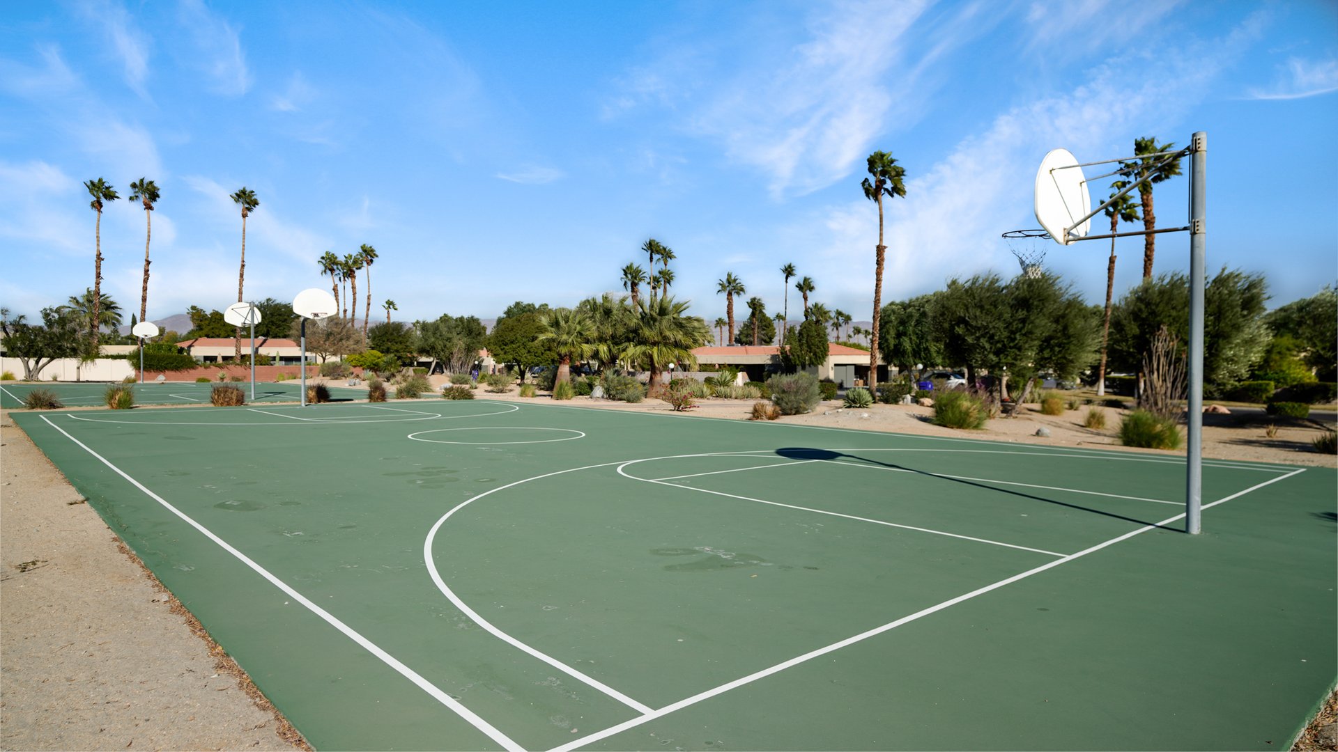 1589 Sunflower Court